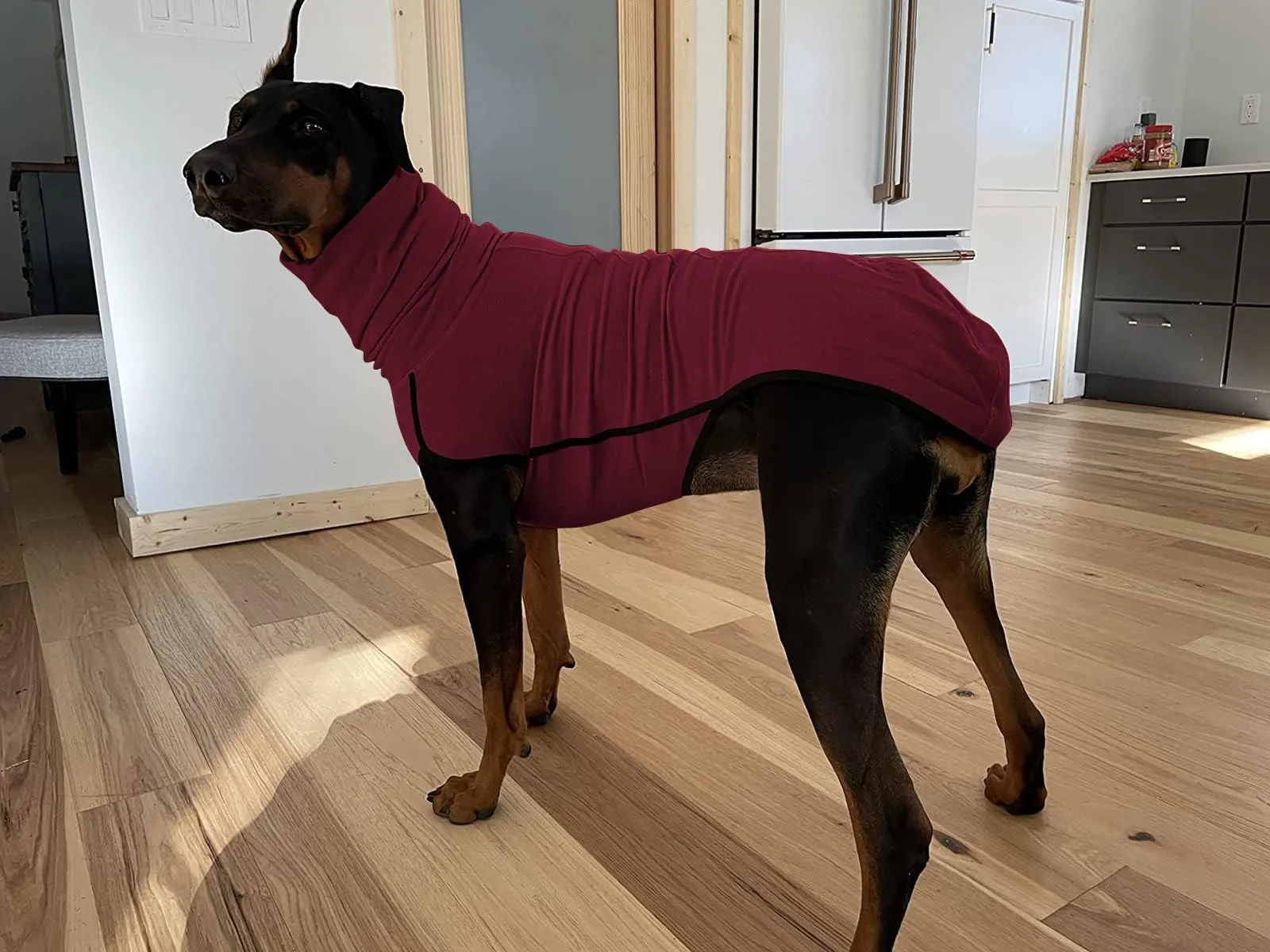 Imily Bela Cappotto invernale in pile con collo alto per cani, rosso vinaccia, M - immagine 5