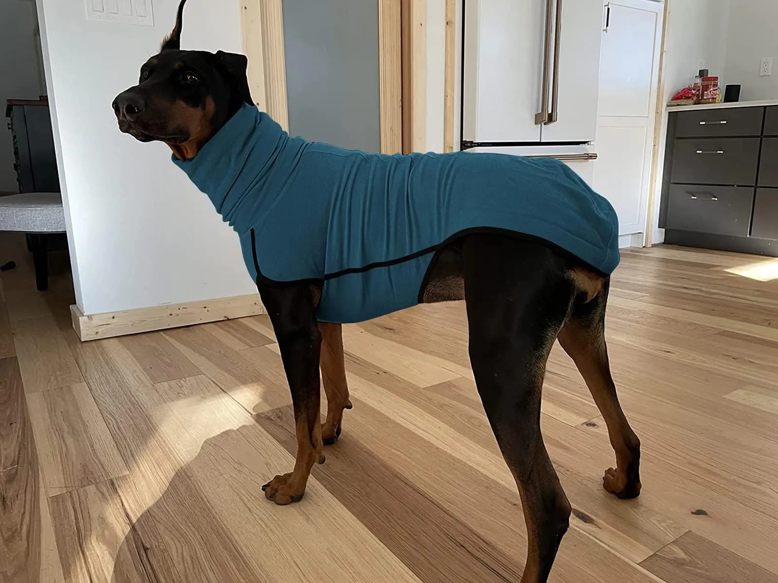 Imily Bela Cappotto invernale in pile con collo alto per cani, Blu mare, L - immagine 5