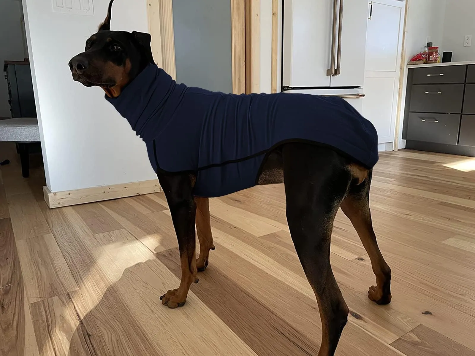 Imily Bela Maglione in pile con collo alto per cani, blu scuro, L - immagine 5