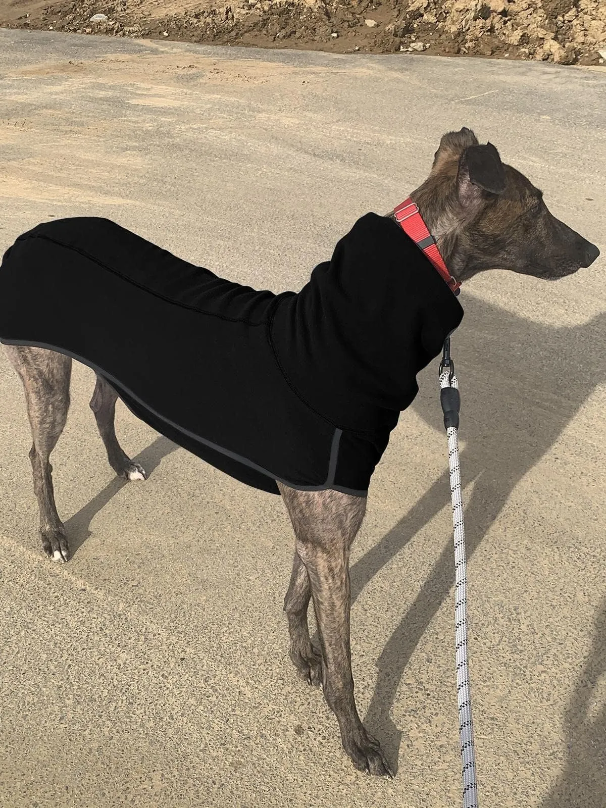Imily Bela Cappotto invernale in pile con collo alto per cani di piccola e media taglia, Nero, S - immagine 4