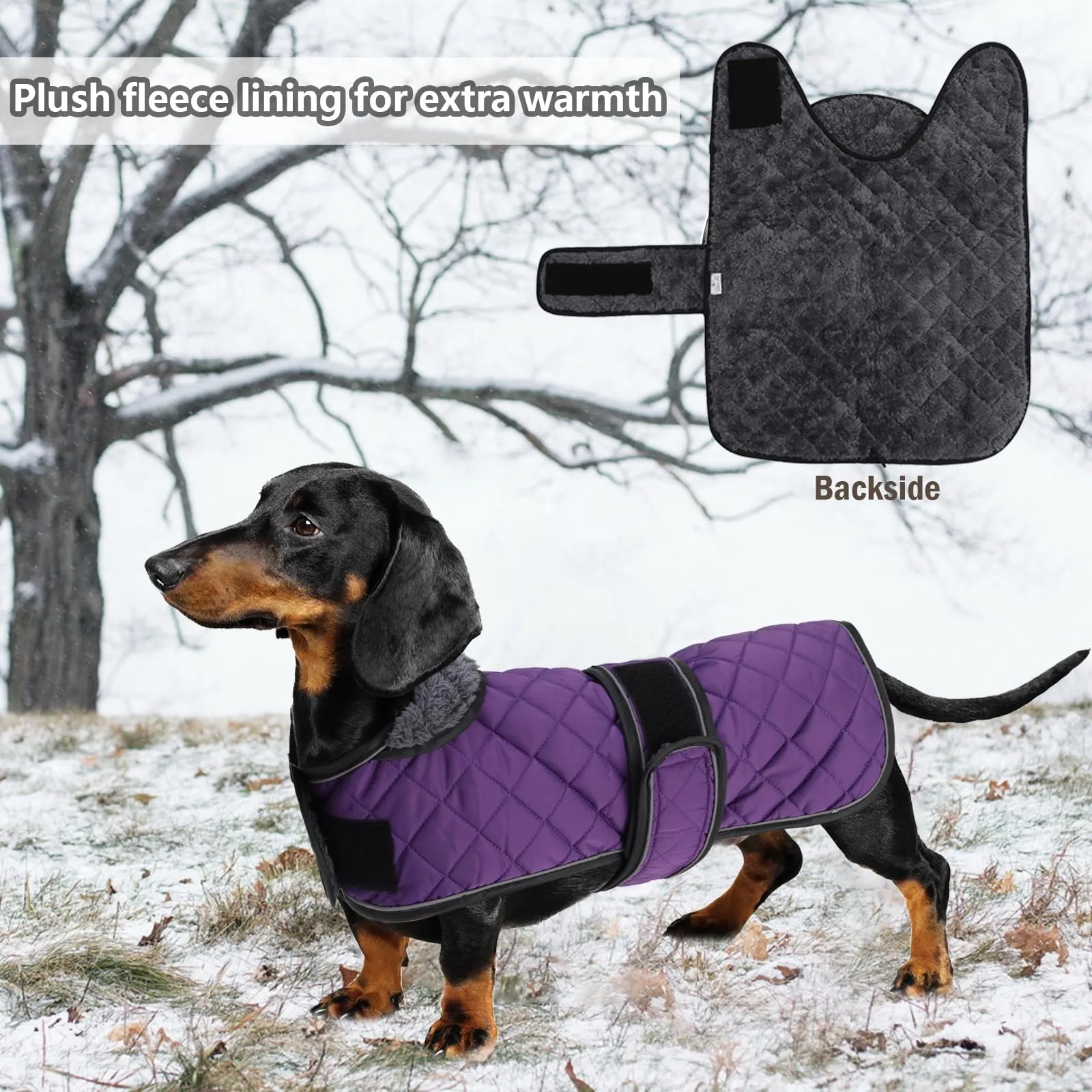 Geyecete Cappotto Invernale Termico Trapuntato per Cane Bassotto con Fodera in Pile e Foro per Imbracatura, Viola, L - immagine 5