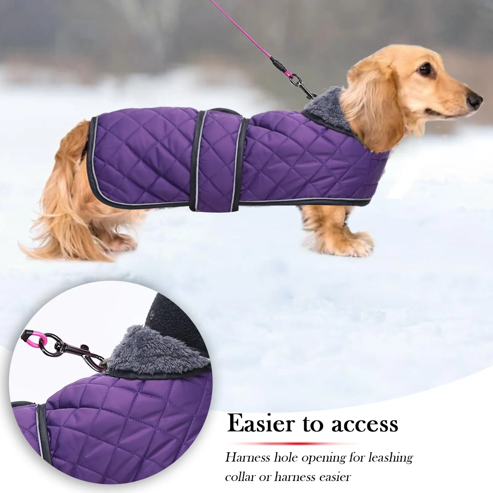 Geyecete Cappotto Invernale Termico Trapuntato per Bassotto con Fodera in Pile e Foro per Imbracatura, Viola, XS - immagine 4
