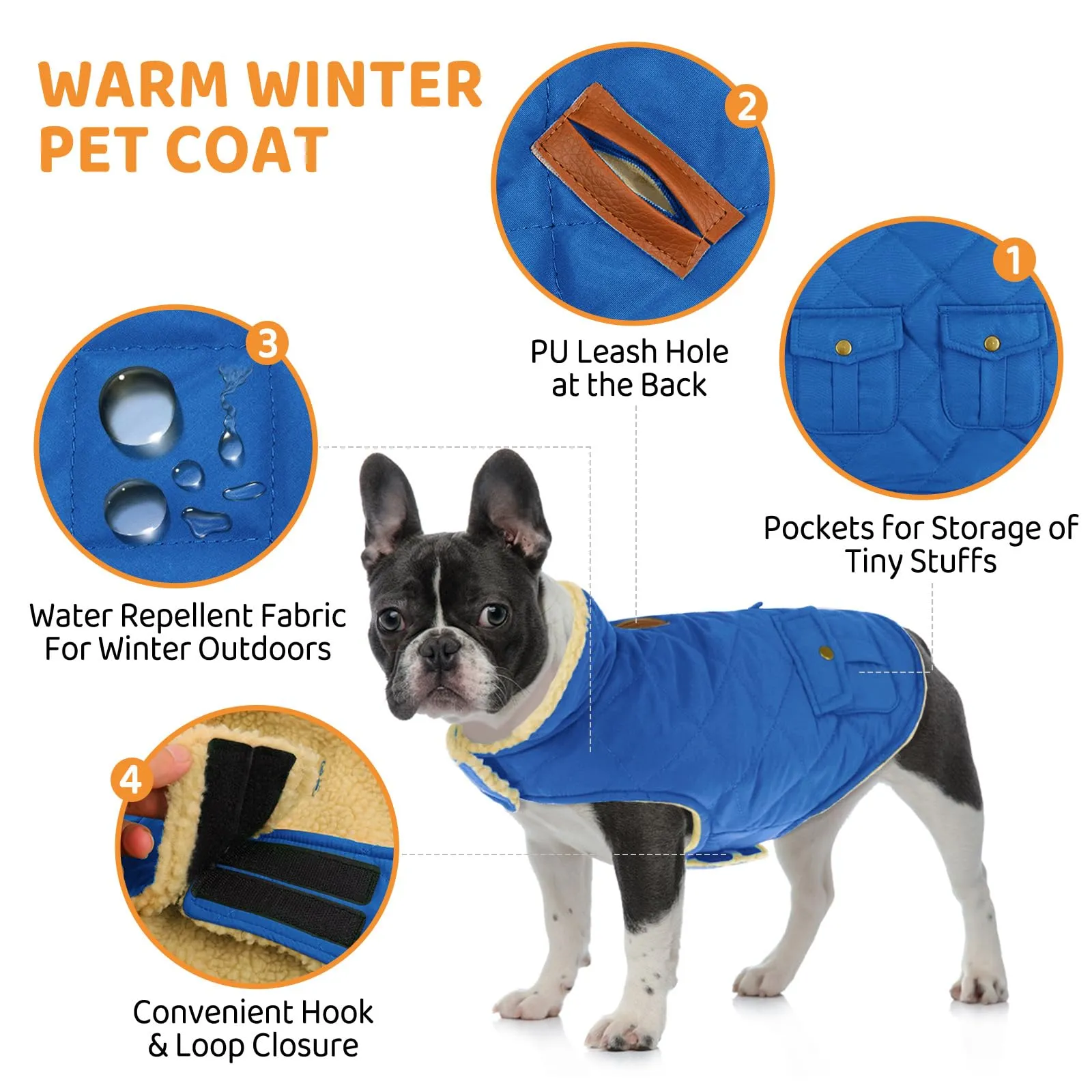 Queenmore Cappotto per Cane Impermeabile con Fodera in Pile, XL, Azure - immagine 2