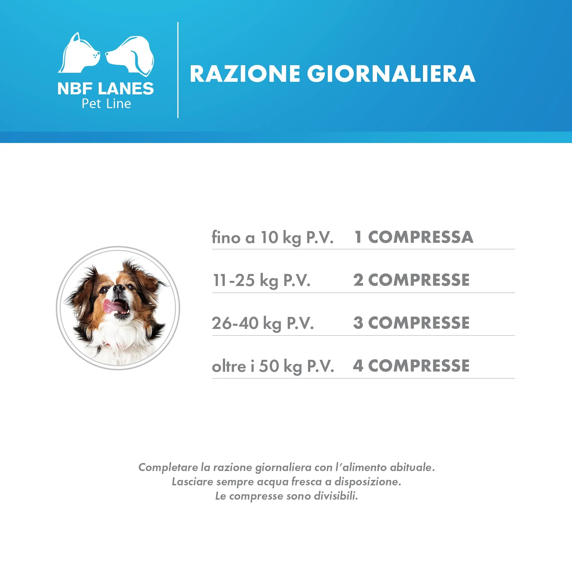 NBF Lanes Carevit Dog, 100 Compresse Divisibili - immagine 4