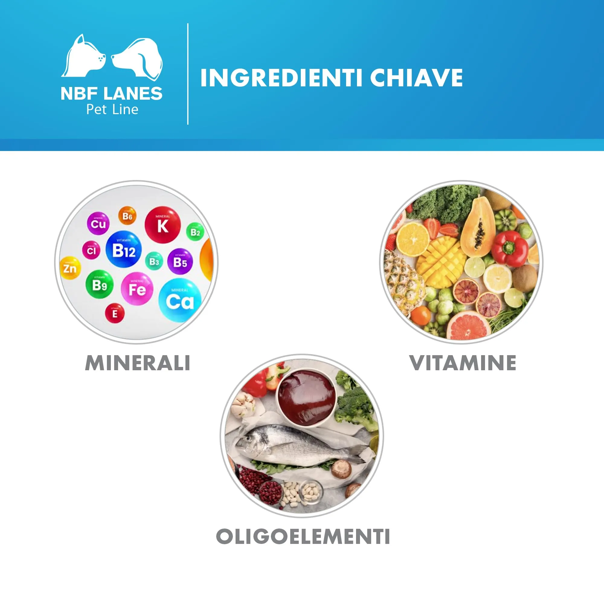 NBF Lanes Carevit Dog, 100 Compresse Divisibili - immagine 5