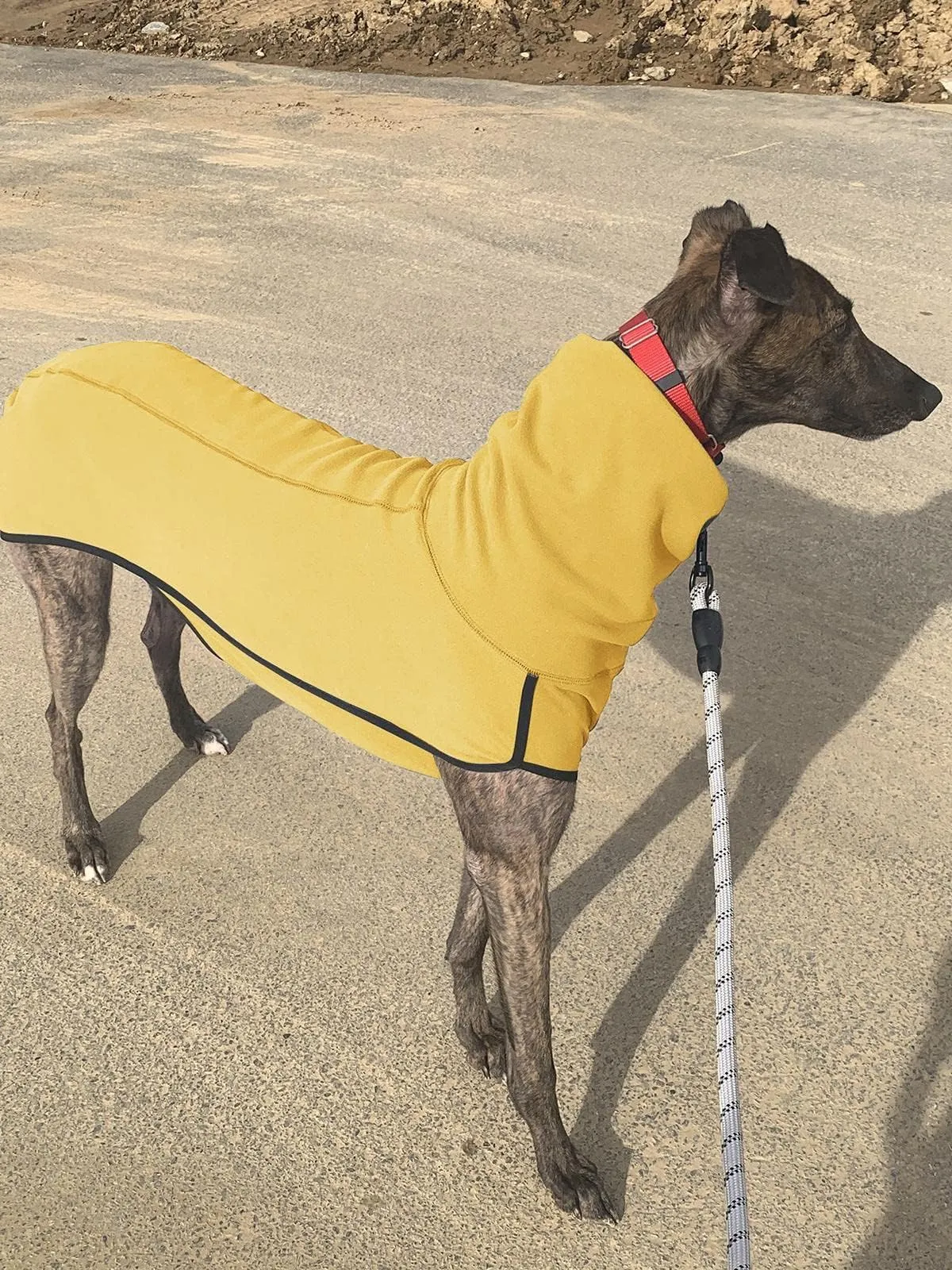 Imily Bela Maglione in pile con collo alto per cani di piccola taglia, giallo, XL - immagine 4