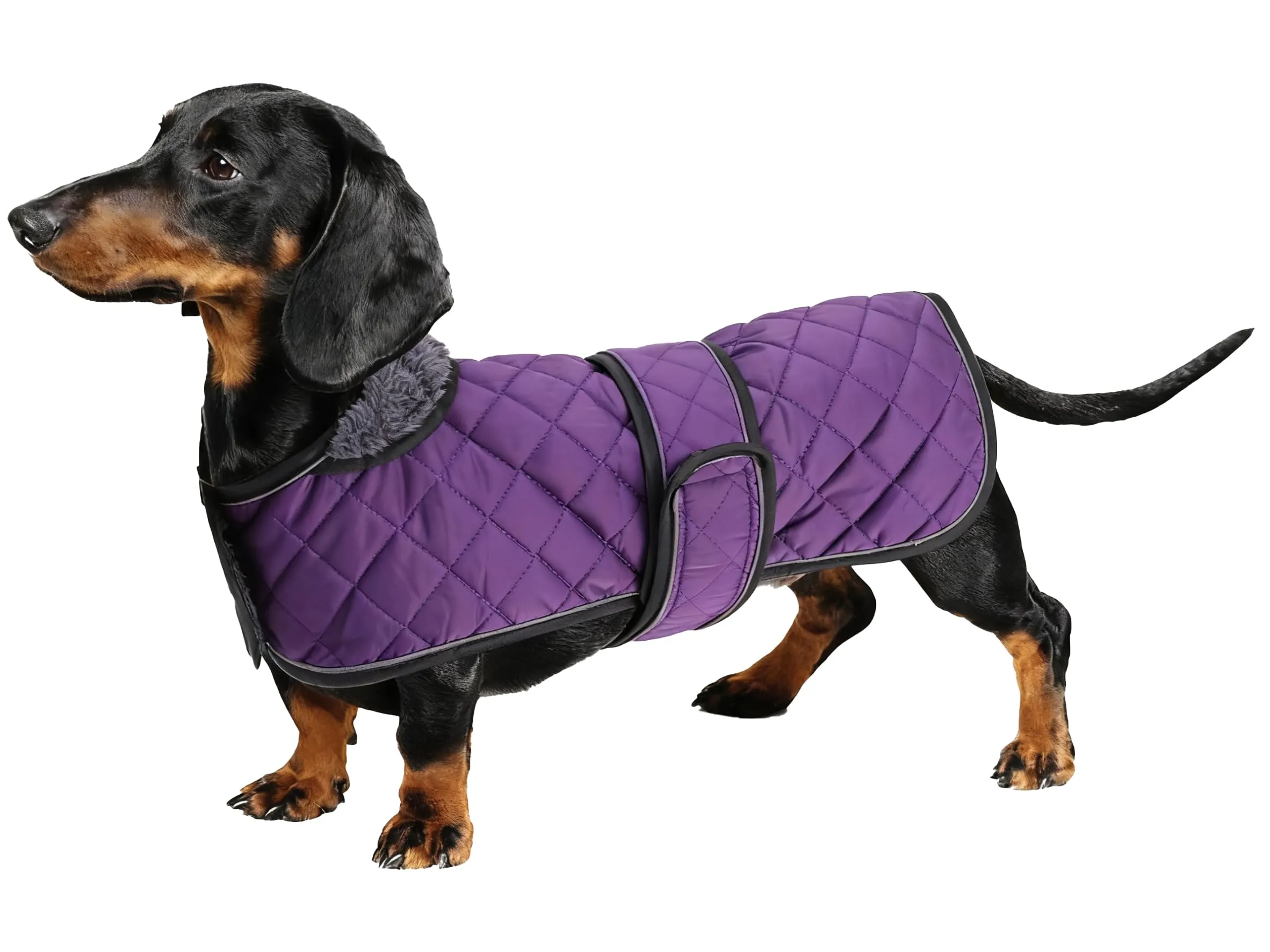 Geyecete Cappotto Invernale Termico Trapuntato per Cane Bassotto, Fodera in Pile, Foro per Imbracatura, Viola, S - immagine 1