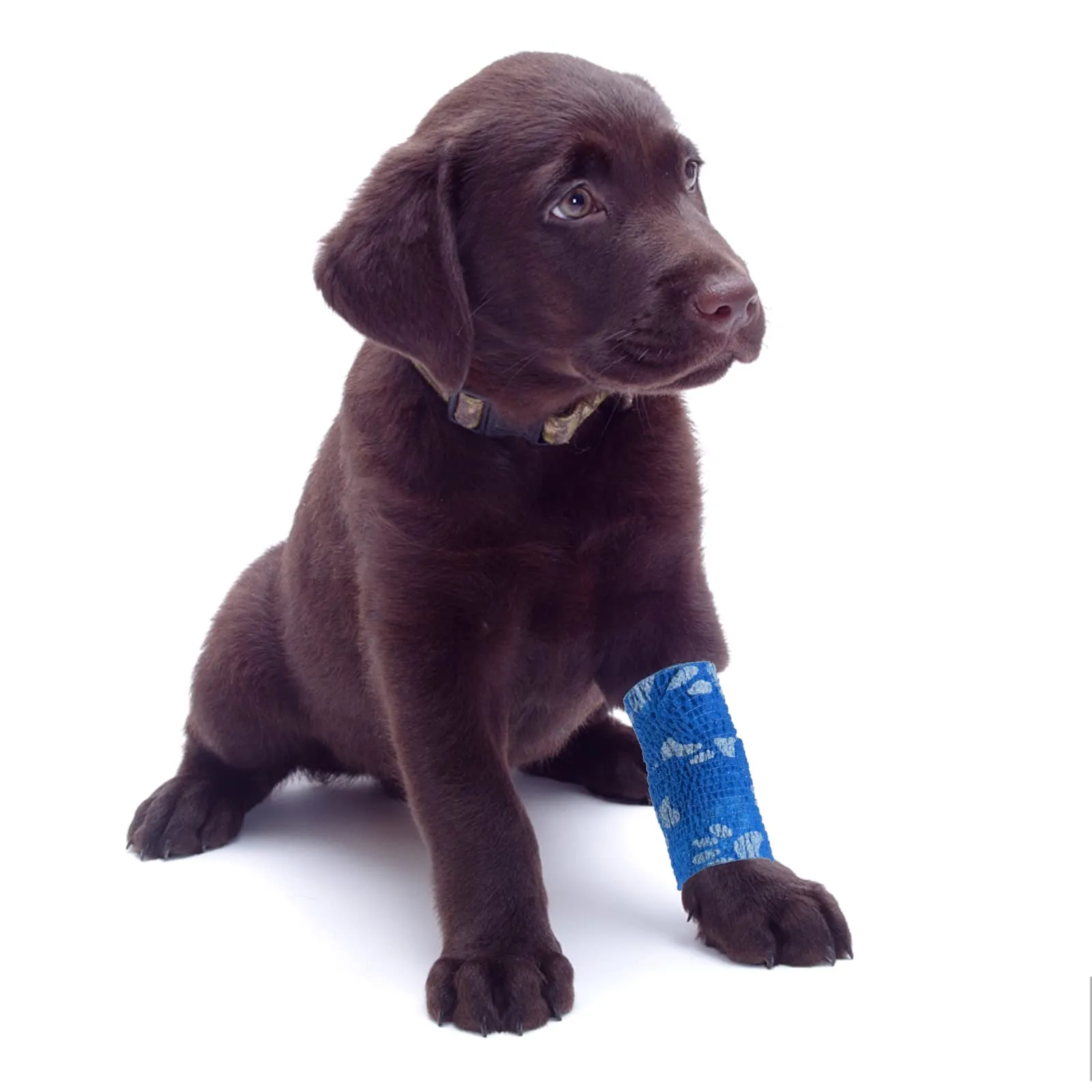 SEADESKY Pet Vet Wrap Bendaggio Coesivo Autoadesivo, 6 Rotoli, 5cm x 4.5m - immagine 6