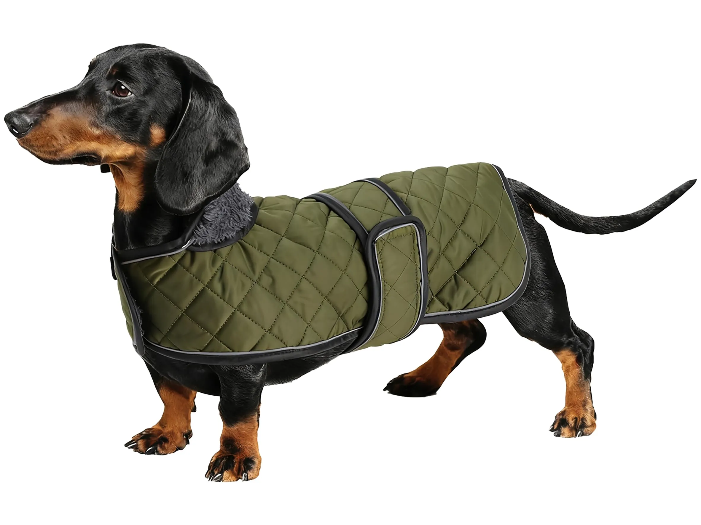 Geyecete Cappotto Invernale Termico Trapuntato per Cane Bassotto con Fodera in Pile e Foro per Imbracatura, Verde, XS - immagine 1