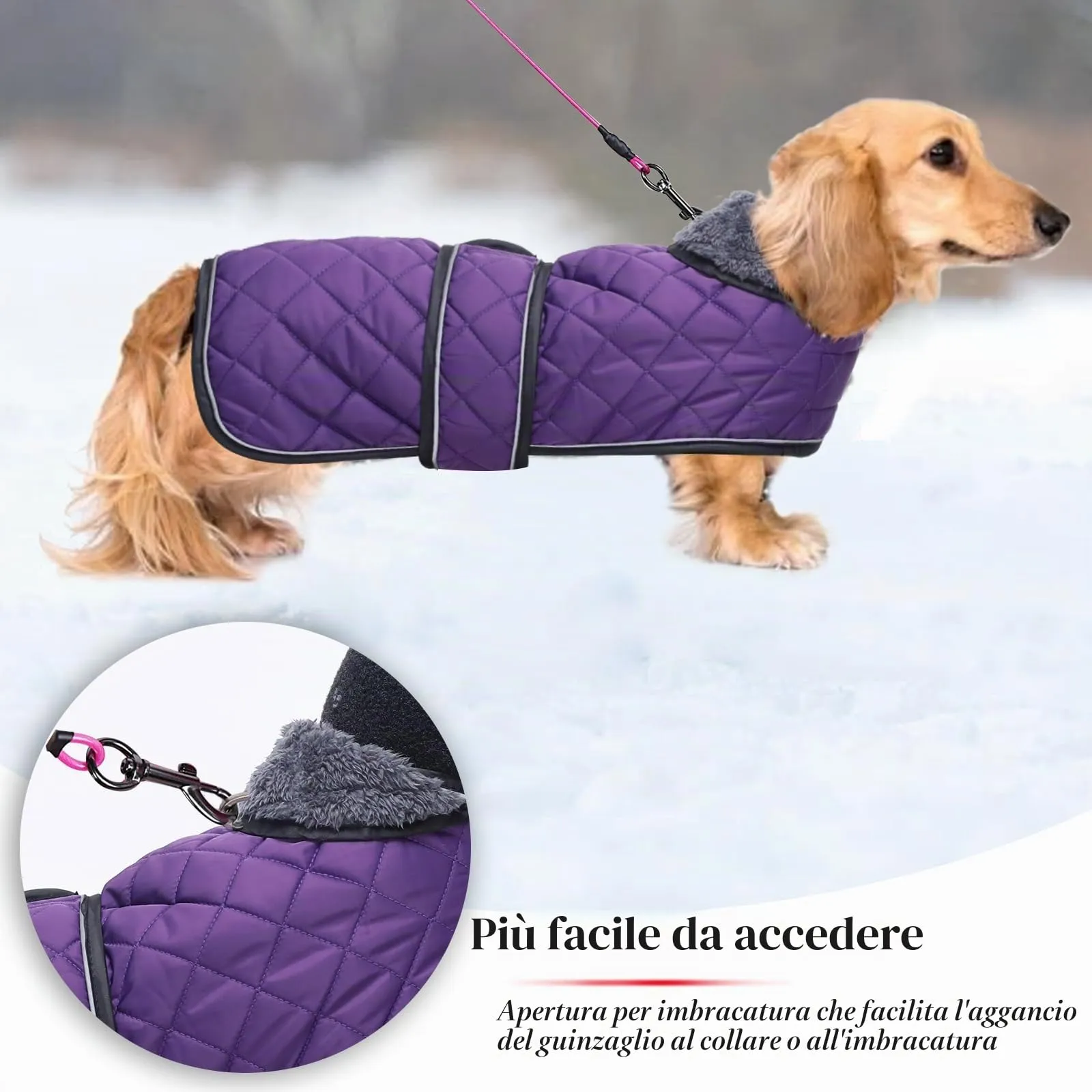 Geyecete Cappotto Invernale Termico Trapuntato per Cane Bassotto con Fodera in Pile e Foro per Imbracatura, Viola, M - immagine 4