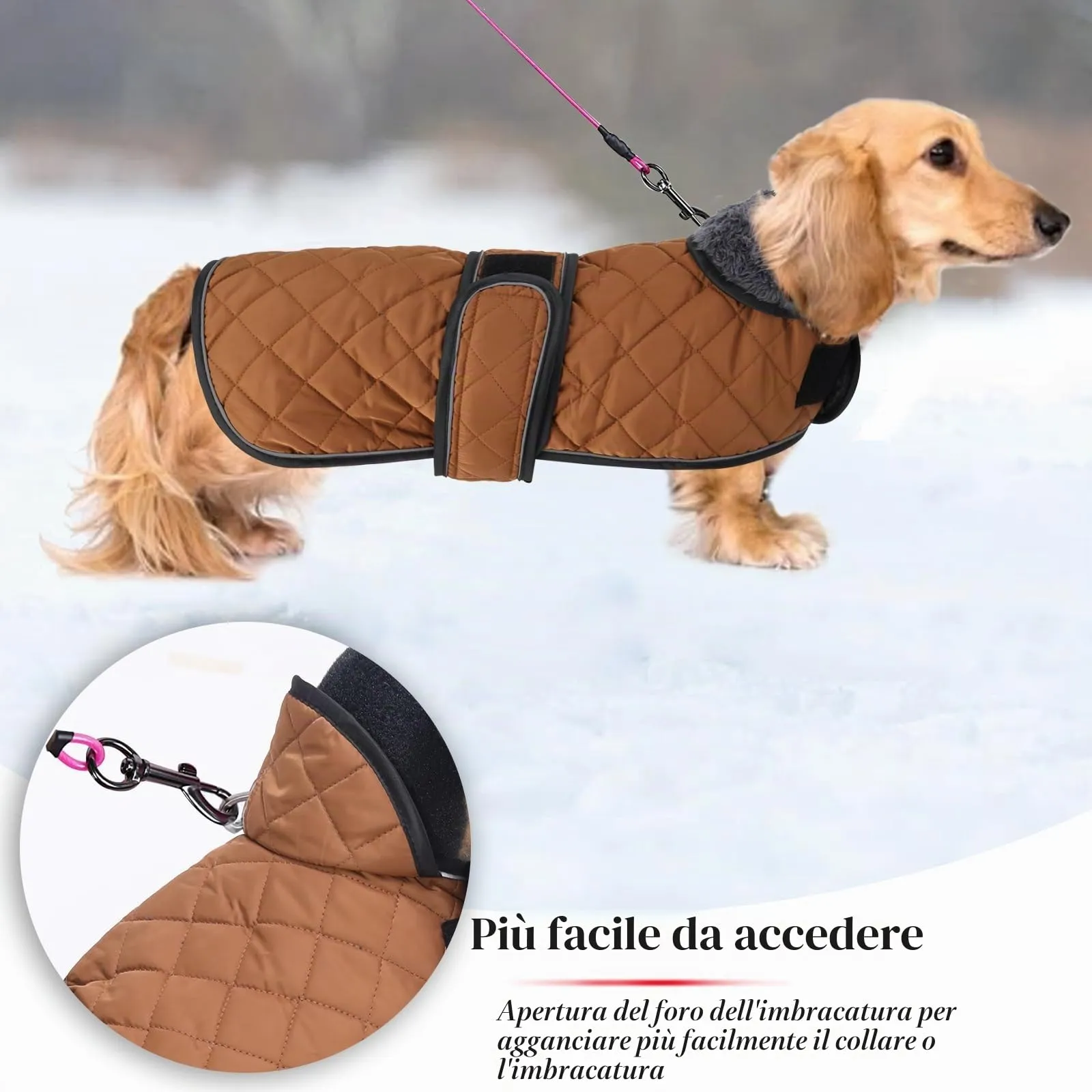 Geyecete Cappotto Invernale Termico Trapuntato per Cane Bassotto con Fodera in Pile e Foro per Imbracatura, Marrone, L - immagine 4
