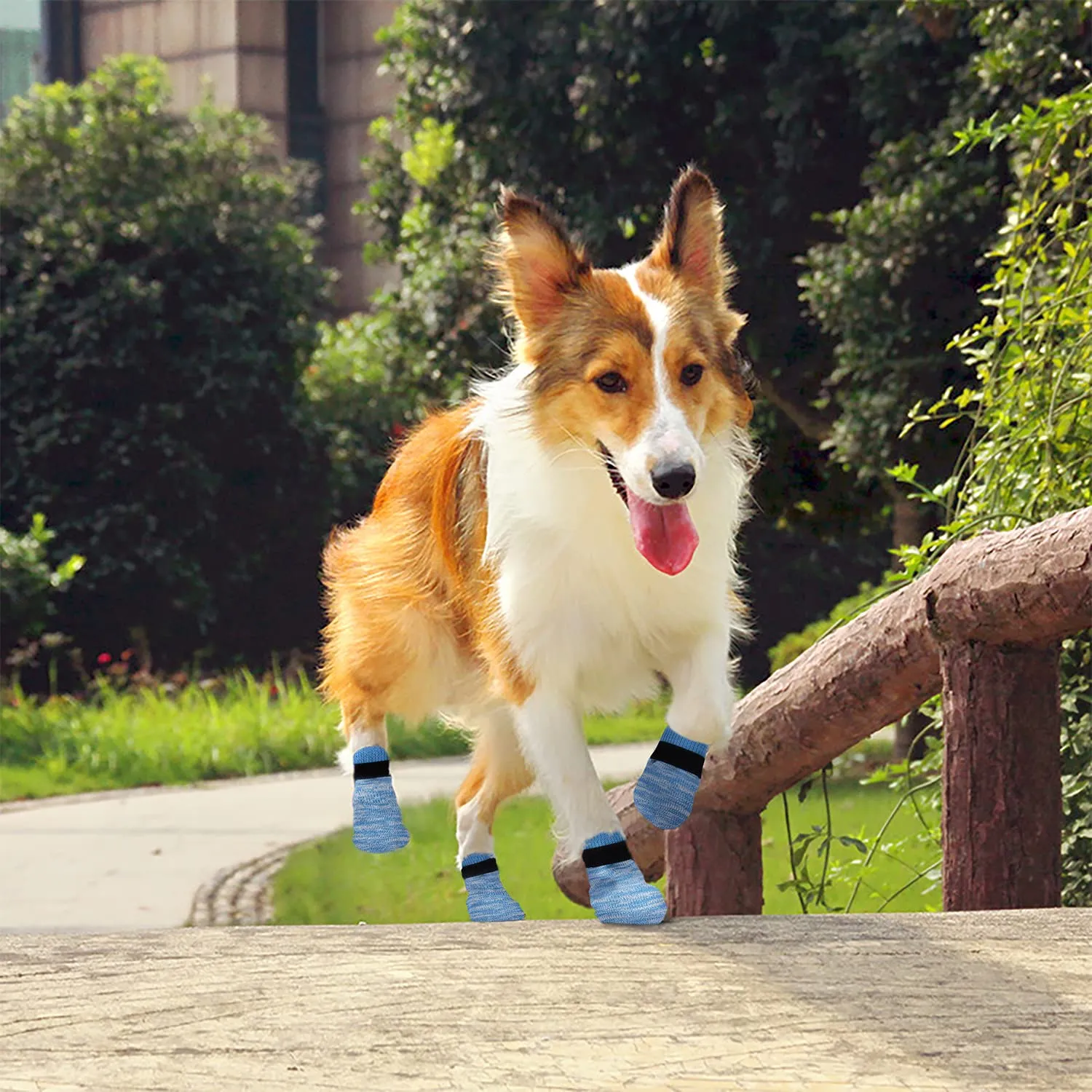 PETLOFT Calzini Antiscivolo per Cane con Cinghie Regolabili, 4 Pezzi (Blu Chiaro, 4XL) - immagine 6
