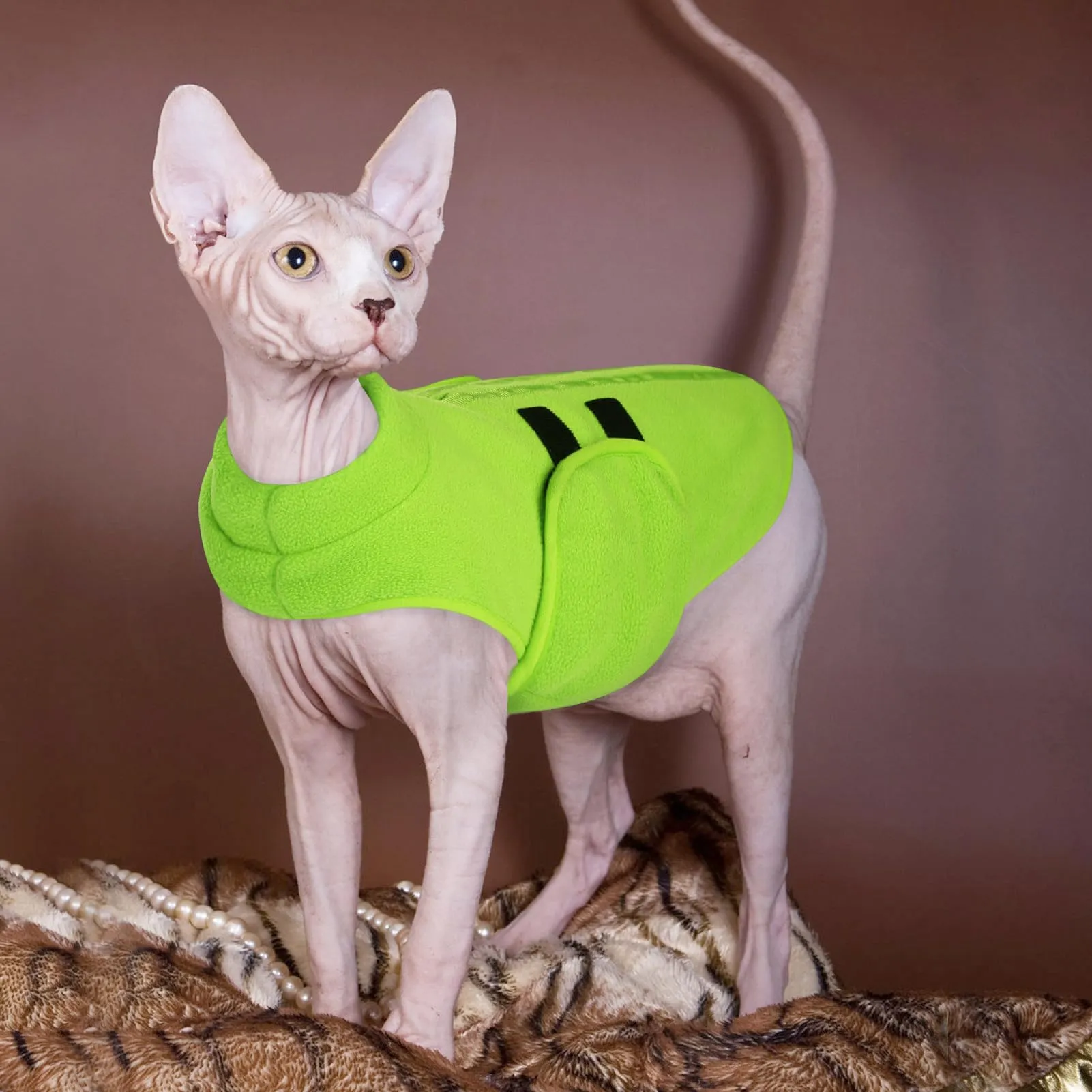PUZAUKAL Maglione in Pile con Imbracatura per Cani e Gatti, Verde, XS - immagine 6