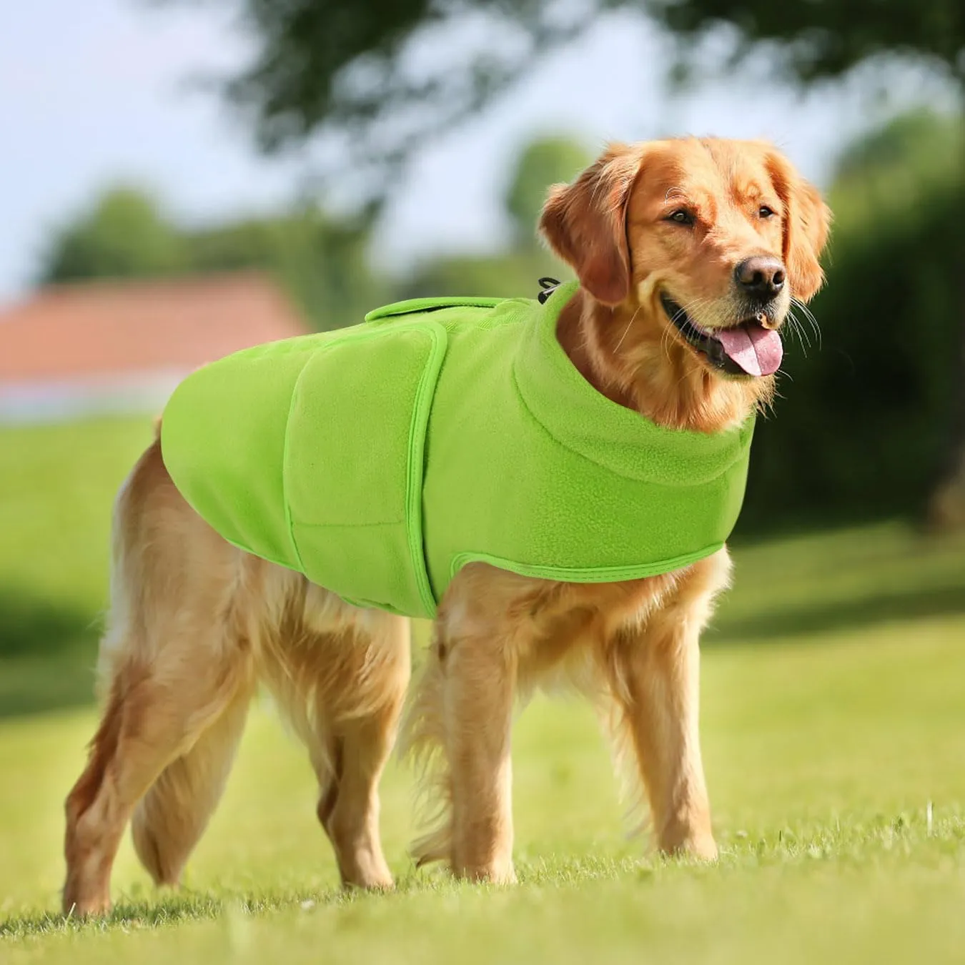 PUZAUKAL Maglione in Pile con Imbracatura per Cani e Gatti, Verde, XS - immagine 7