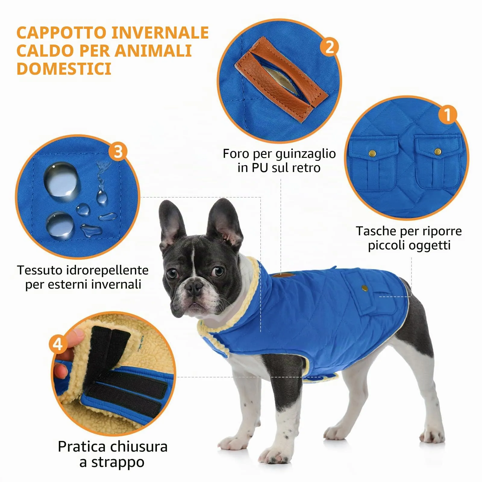 Queenmore Cappotto per Cane Piccolo Impermeabile e Imbottito, Azure, S - immagine 2