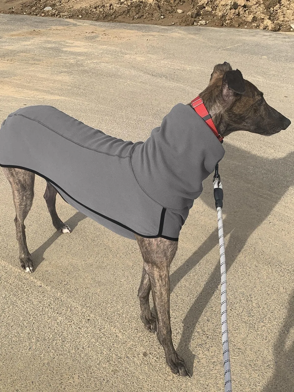Imily Bela Maglione in pile con collo alto per cani, grigio, M - immagine 4