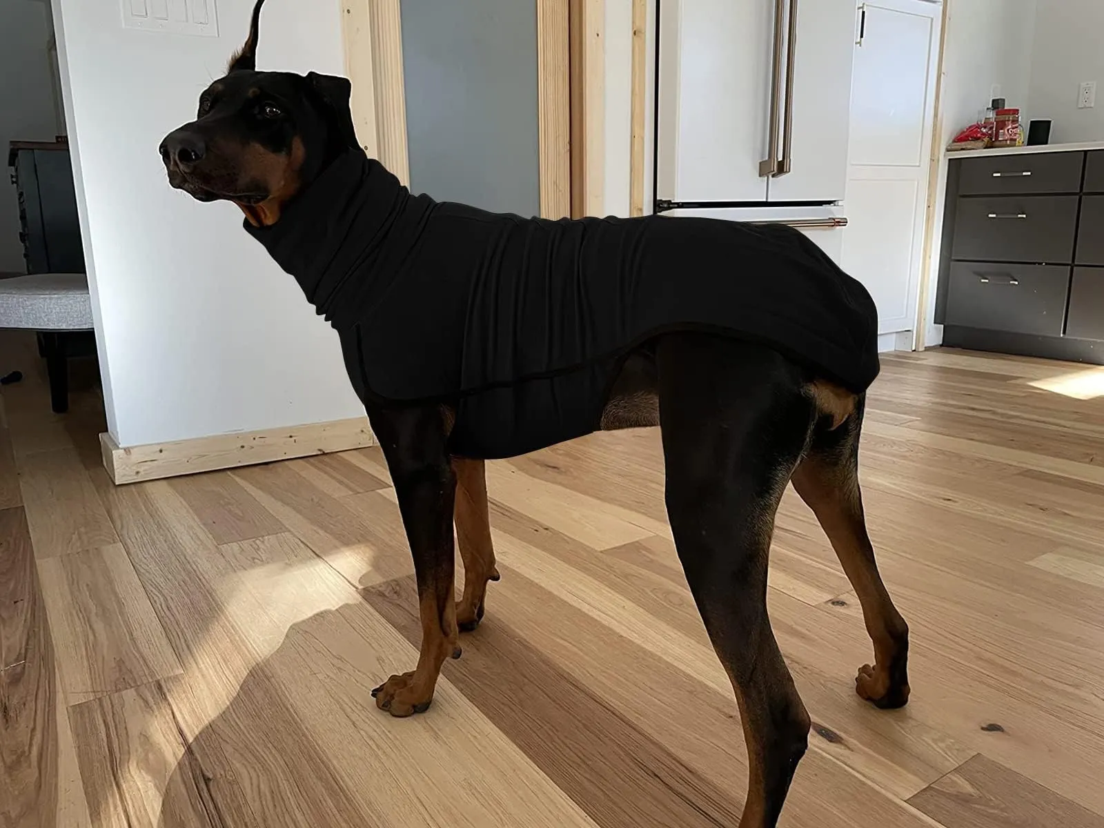Imily Bela Maglione in pile con collo alto per cani, nero, M - immagine 5