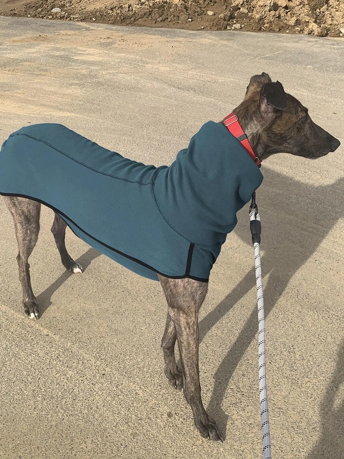 Imily Bela Cappotto invernale in pile con collo alto per cani, Blu mare, S - immagine 4