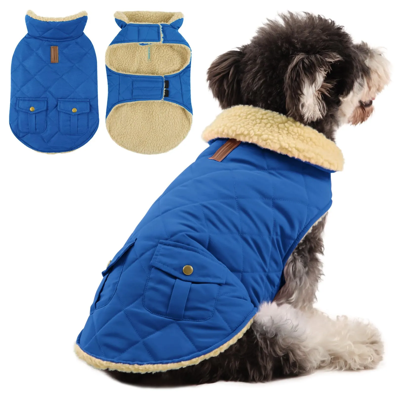 Queenmore Cappotto Cane Impermeabile Caldo, Taglia M, Azure - immagine 1