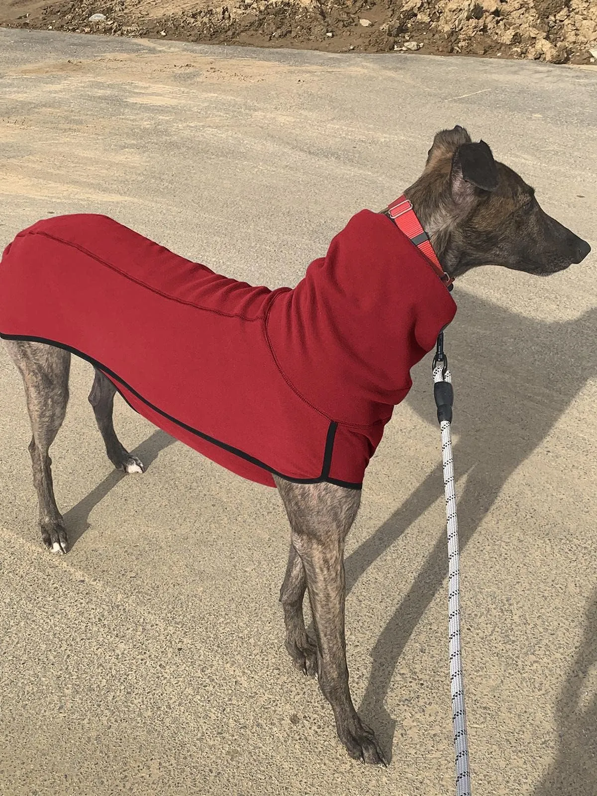 Imily Bela Maglione in pile con collo alto per cani, rosso, XS - immagine 4