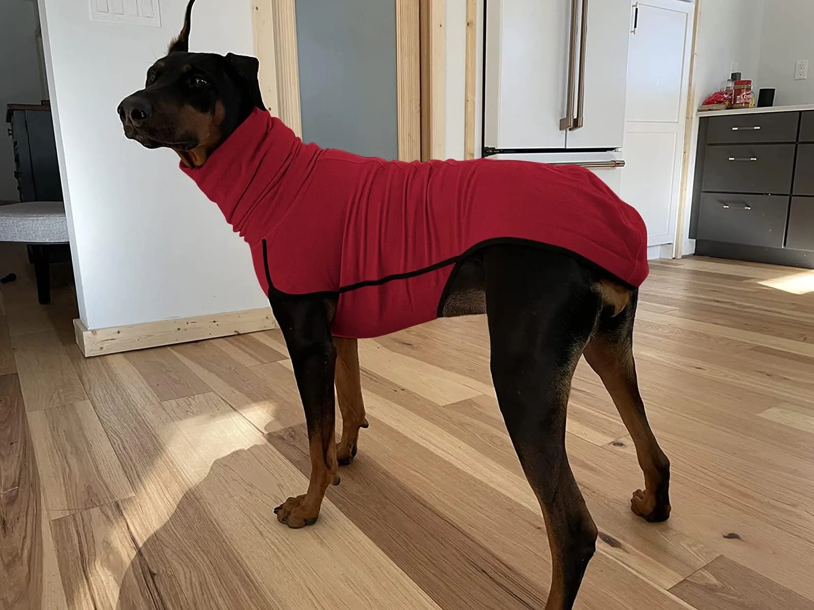 Imily Bela Maglione in pile con collo alto per cani di piccola taglia, Rosso, S - immagine 5