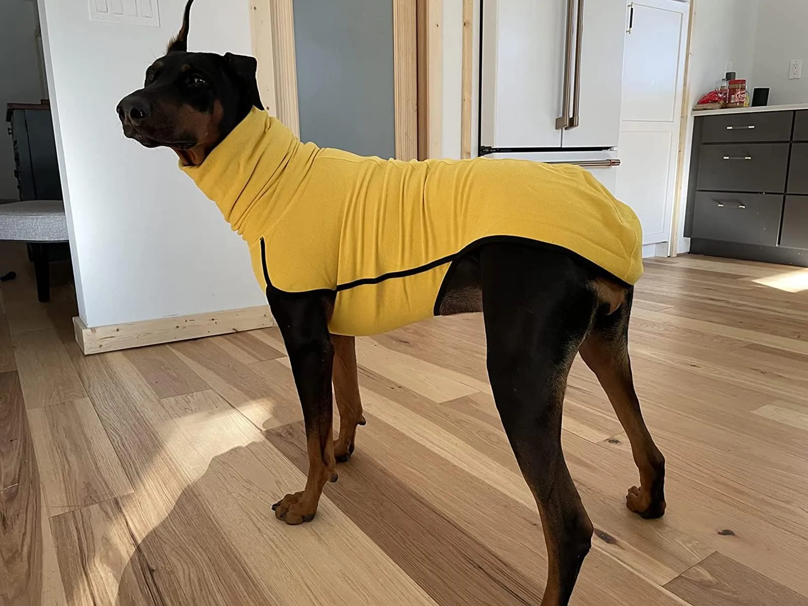 Imily Bela Maglione in pile con collo alto per cani di piccola taglia, giallo, M - immagine 5