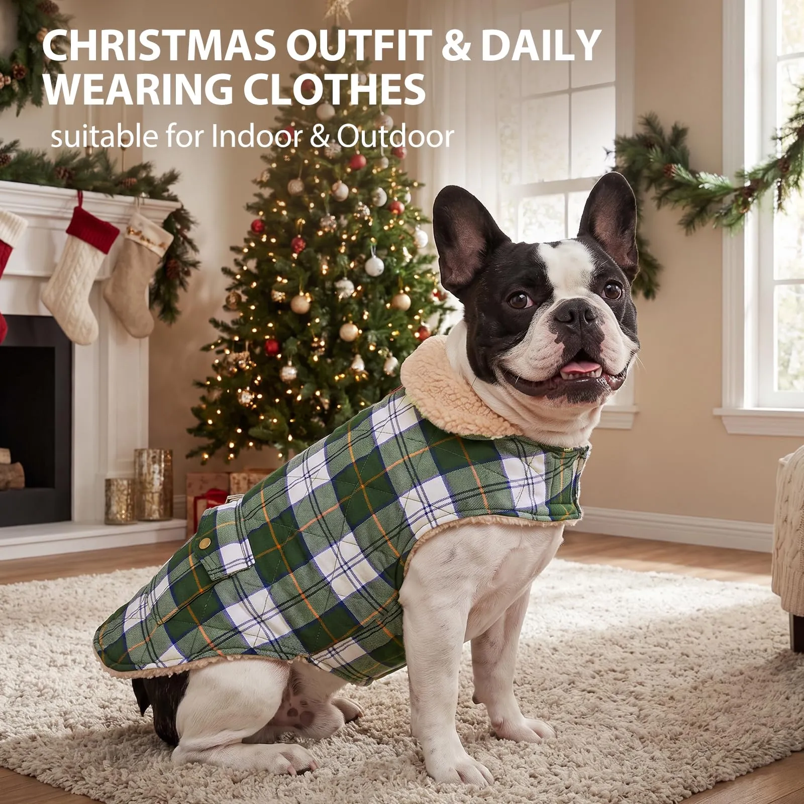 Queenmore Cappottino per Cani Impermeabile con Fodera in Peluche, Green Plaid, Taglia M - immagine 5