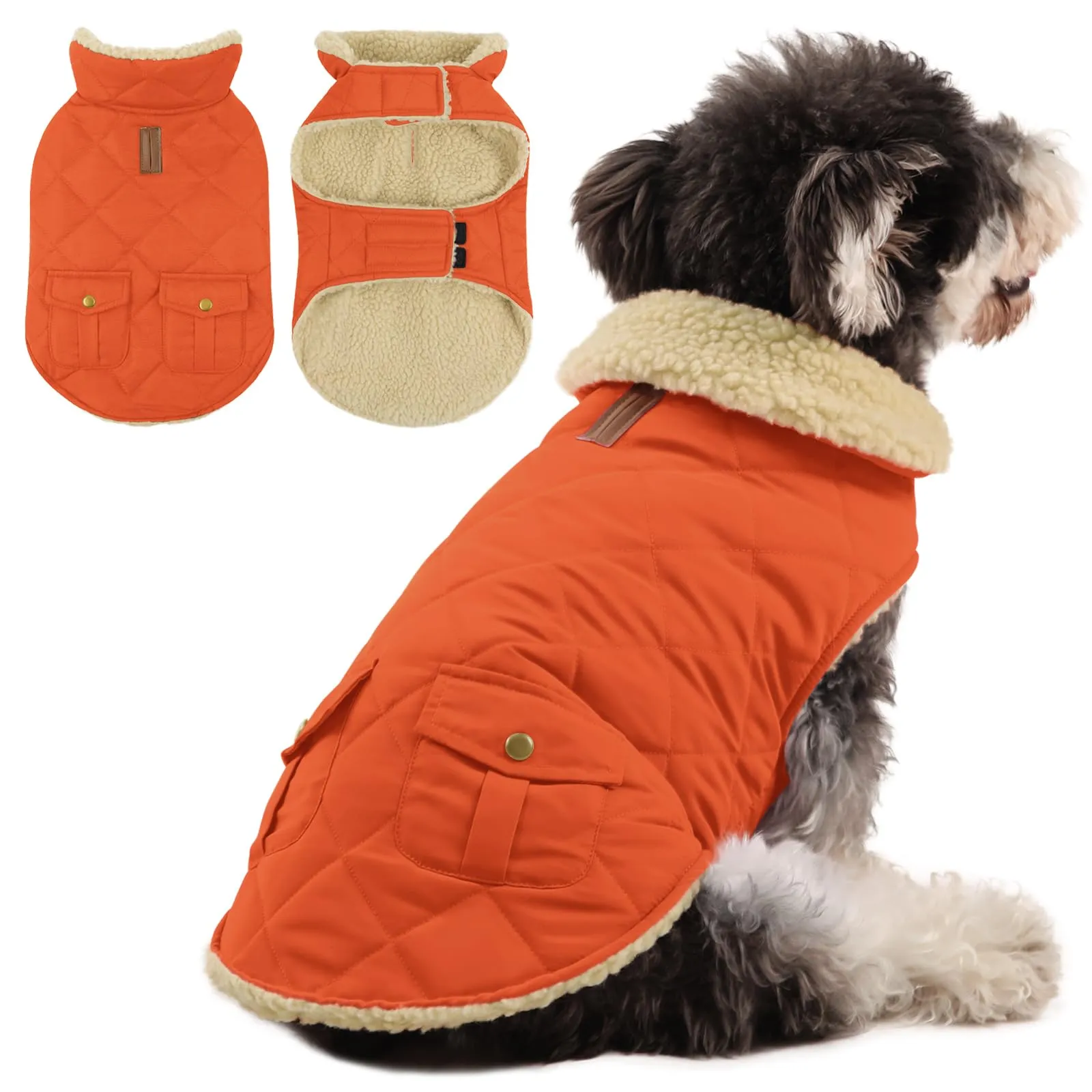 Queenmore Giacca Invernale Trapuntata per Cani, Arancione, Taglia S - immagine 1