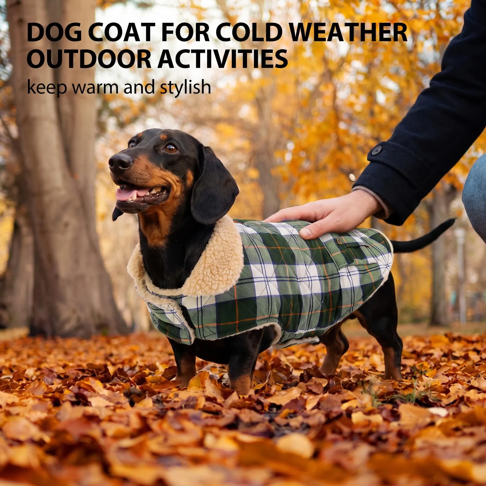Queenmore Giacca Invernale Trapuntata per Cani, Green Plaid, Taglia S - immagine 7