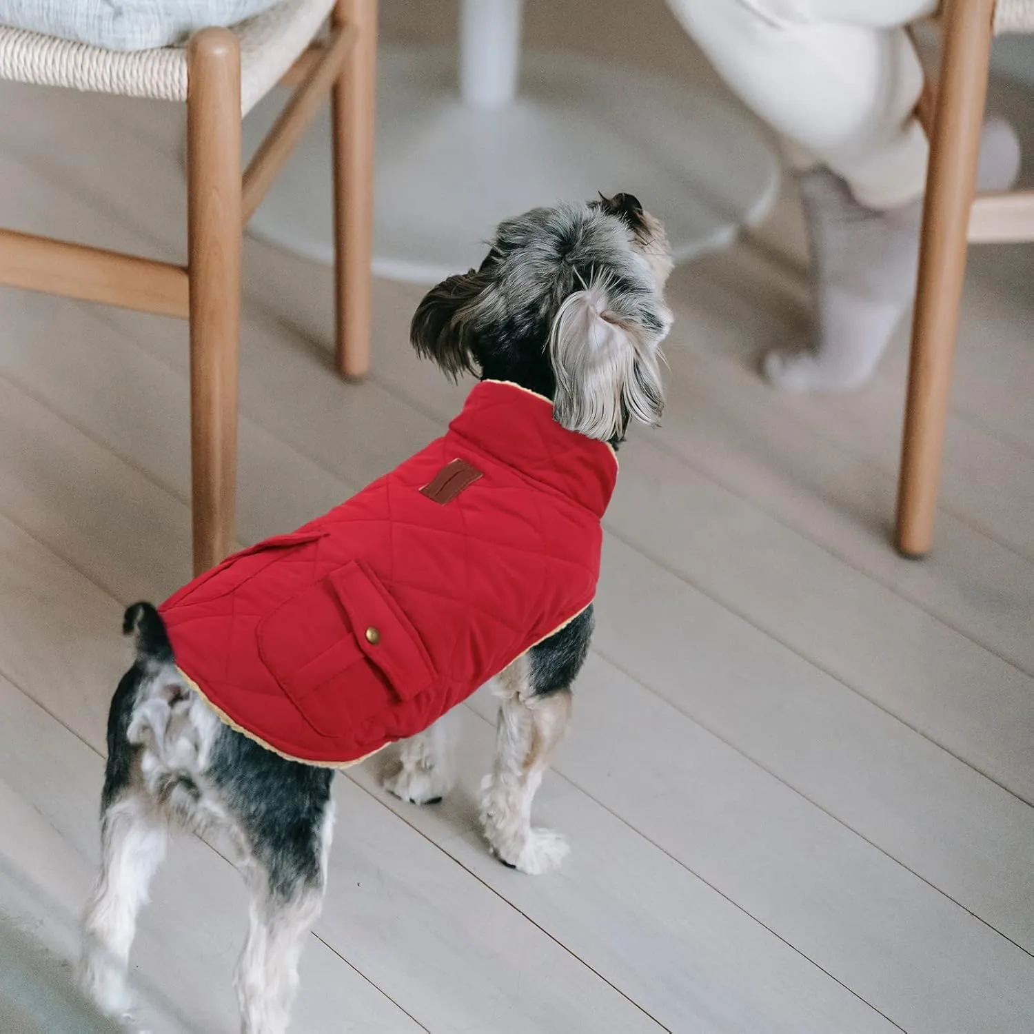 Queenmore Cappotto Cane Impermeabile, Imbottito e Caldo - Olive Green, Taglia L - immagine 7
