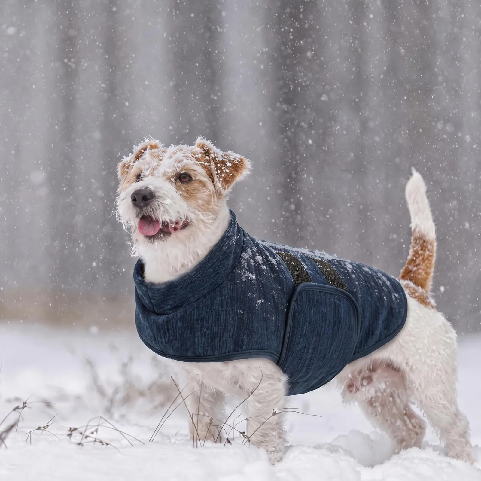 PUZAUKAL Maglione in Pile per Cani di Piccola e Media Taglia - immagine 5