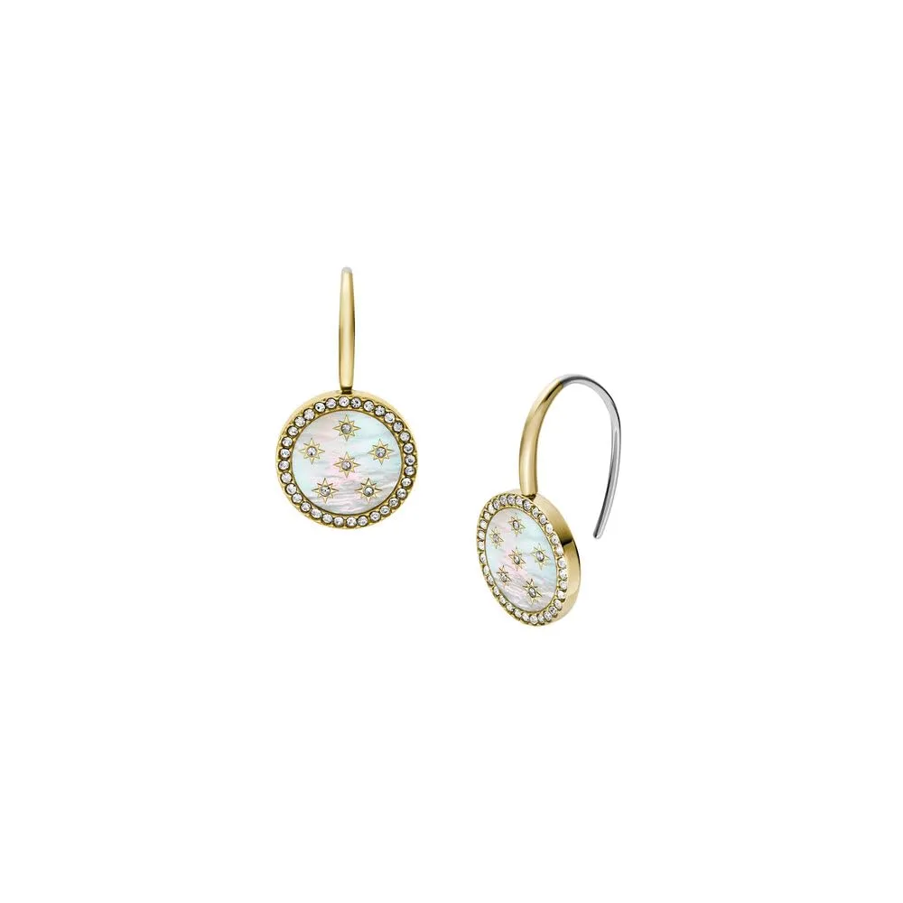 Fossil Women's Stainless Steel Hook Closure Earrings JF04867710 - immagine 1