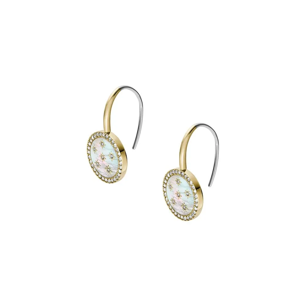 Fossil Women's Stainless Steel Hook Closure Earrings JF04867710 - immagine 2