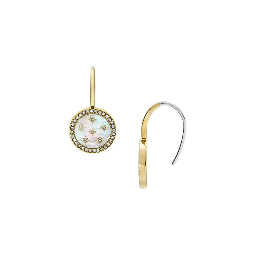Fossil Women's Stainless Steel Hook Closure Earrings JF04867710 - immagine 3