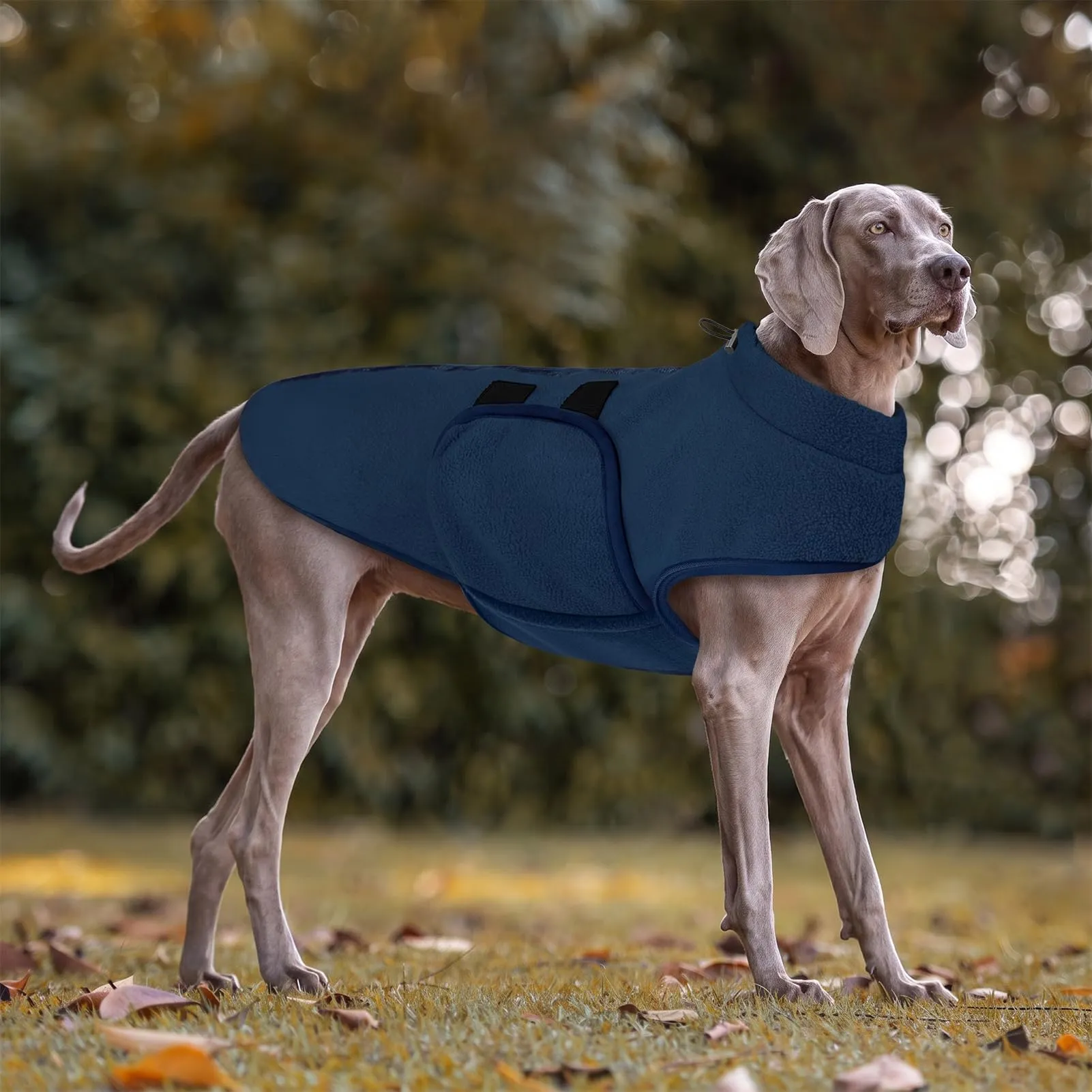 PUZAUKAL Maglione in Pile per Cane, Cappottino Morbido per Taglia Piccola e Media - immagine 6