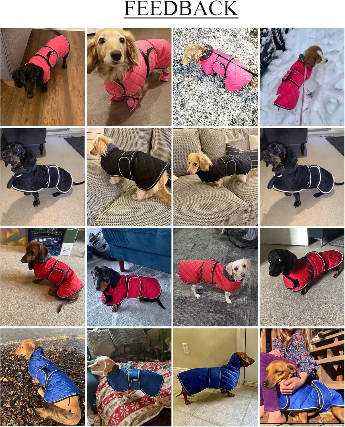 Geyecete Cappotto Invernale Termico Trapuntato per Cane Bassotto con Fodera in Pile e Foro per Imbracatura, Arancione, M - immagine 2