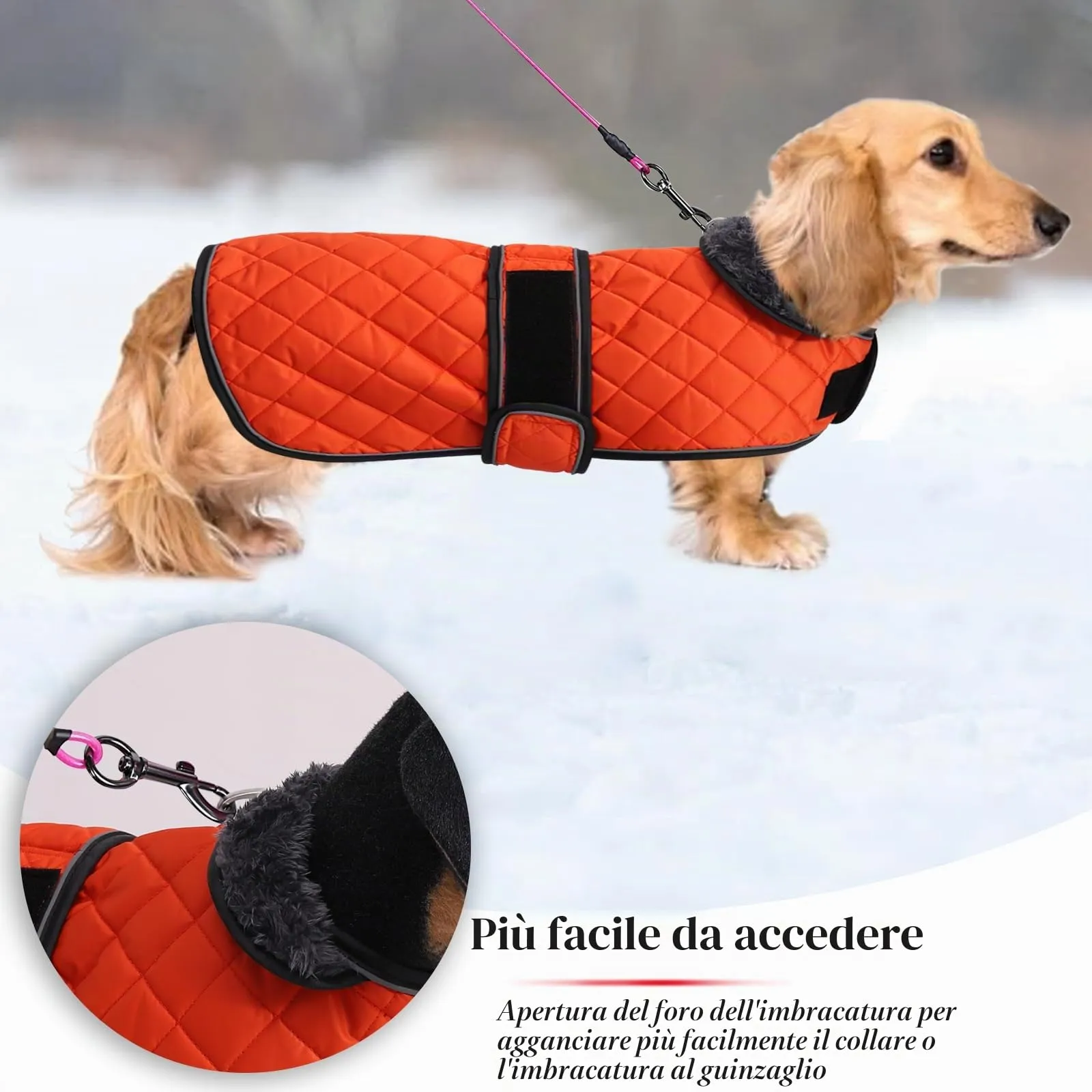 Geyecete Cappotto Invernale Termico Trapuntato per Cane Bassotto con Fodera in Pile e Foro per Imbracatura, Arancione, S - immagine 4