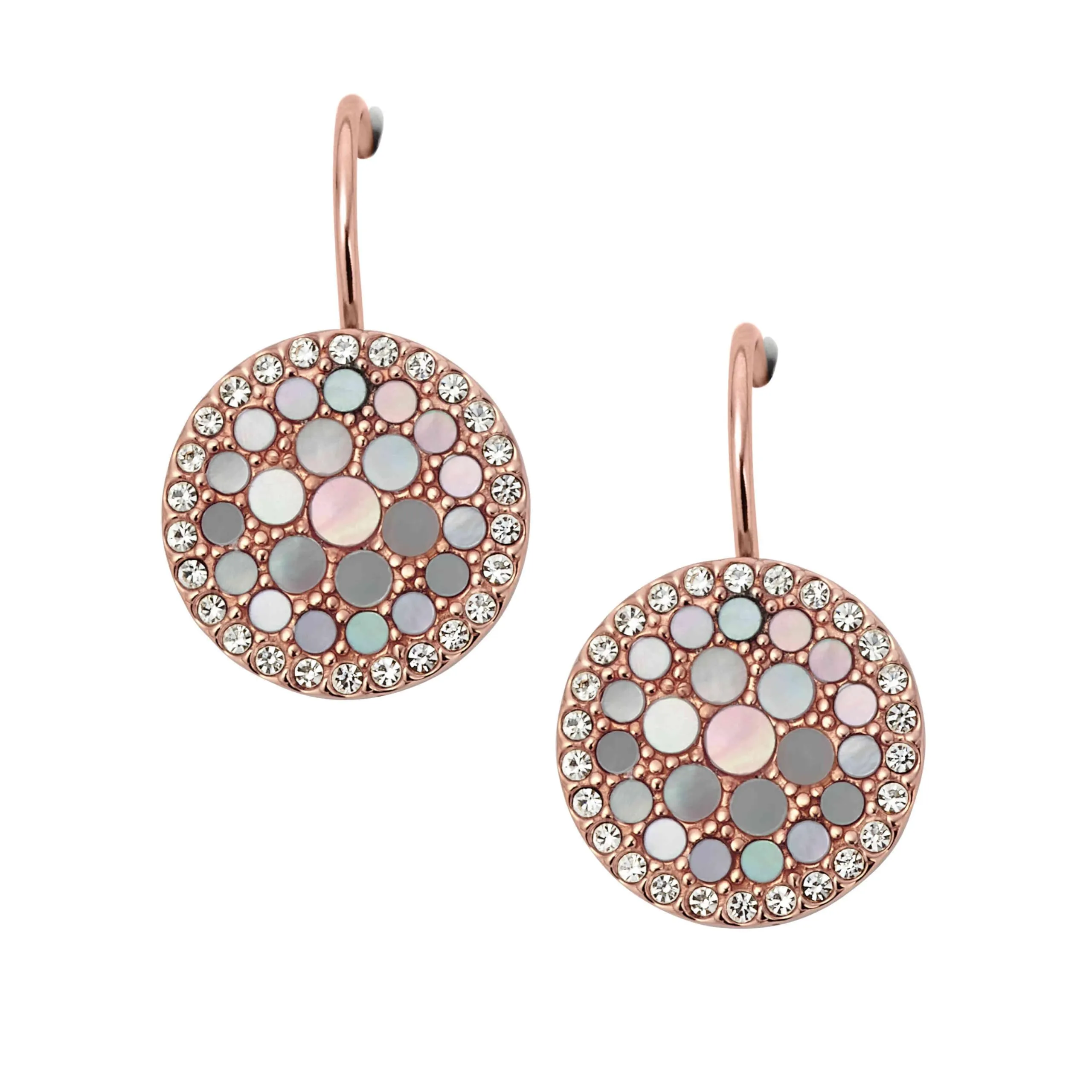 Fossil Women's Stainless Steel Hook Closure Earrings JF01737791 - immagine 1