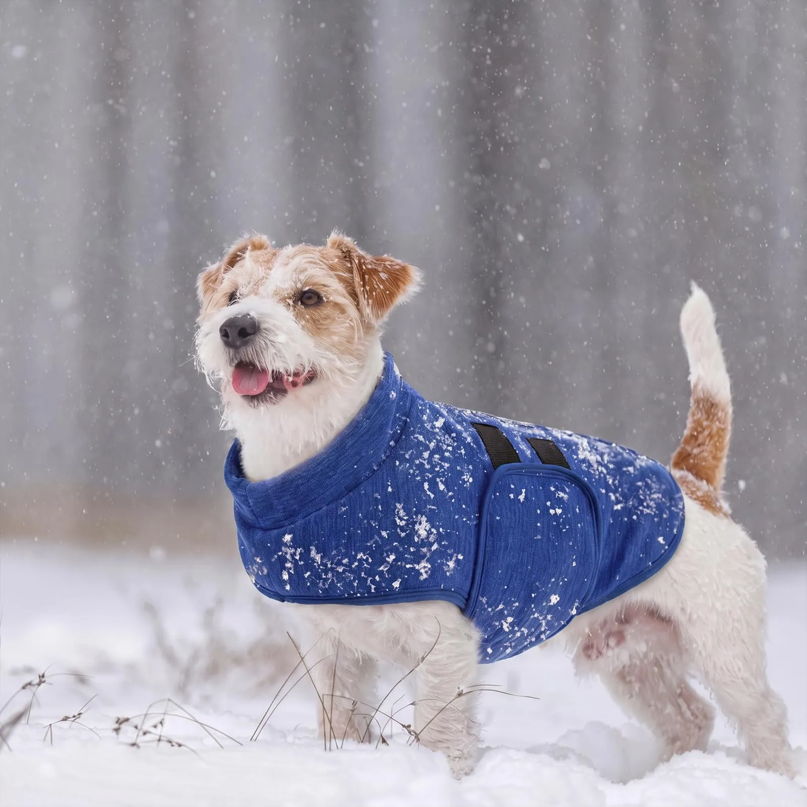 PUZAUKAL Maglione in Pile per Cani di Piccola e Media Taglia - immagine 5