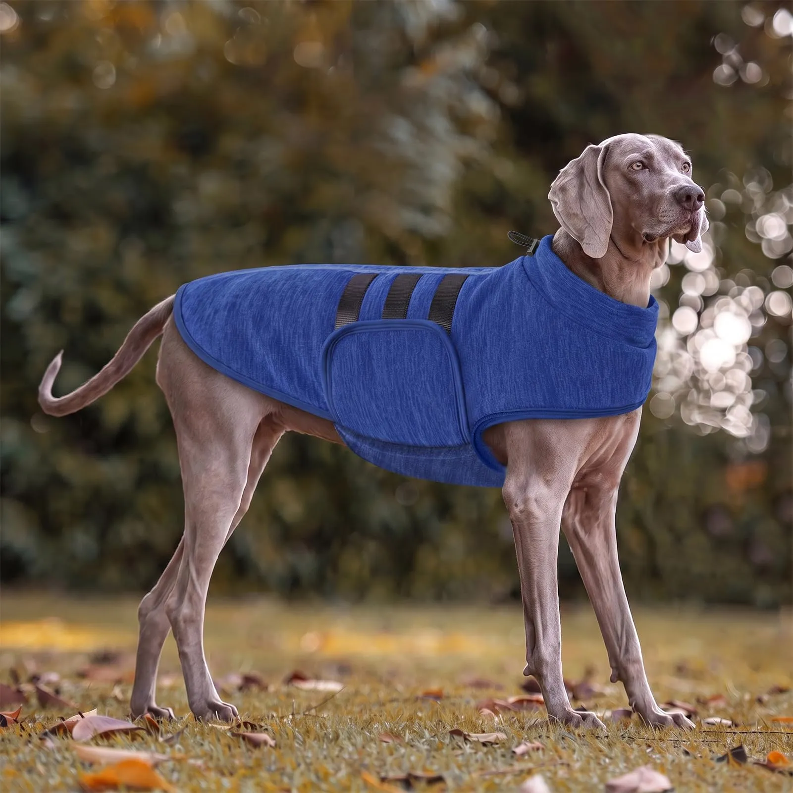 PUZAUKAL Maglione in Pile per Cane, Taglia S, Blu Cationico - immagine 6
