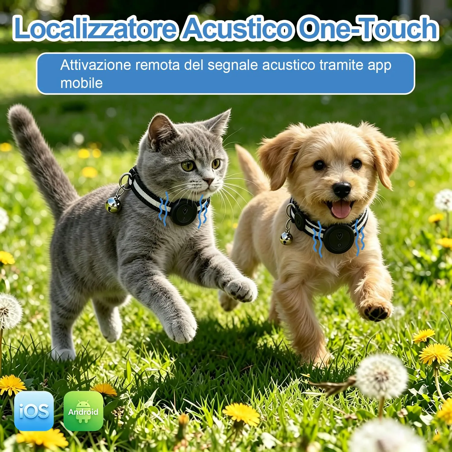 Syeioxn Collare GPS 2 in 1 per Cani di Piccola Taglia e Gatti, Riflettente, Senza Abbonamento, Compatibile con iOS/Android, Regolabile con Campanellino - Nero - immagine 3