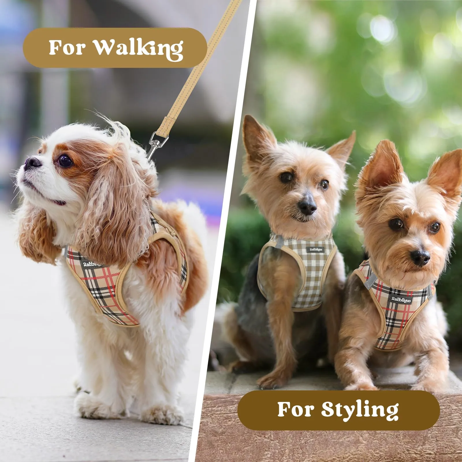 rabbitgoo Pettorina Cane Taglia Piccola, Tartan Kaki, S - immagine 9