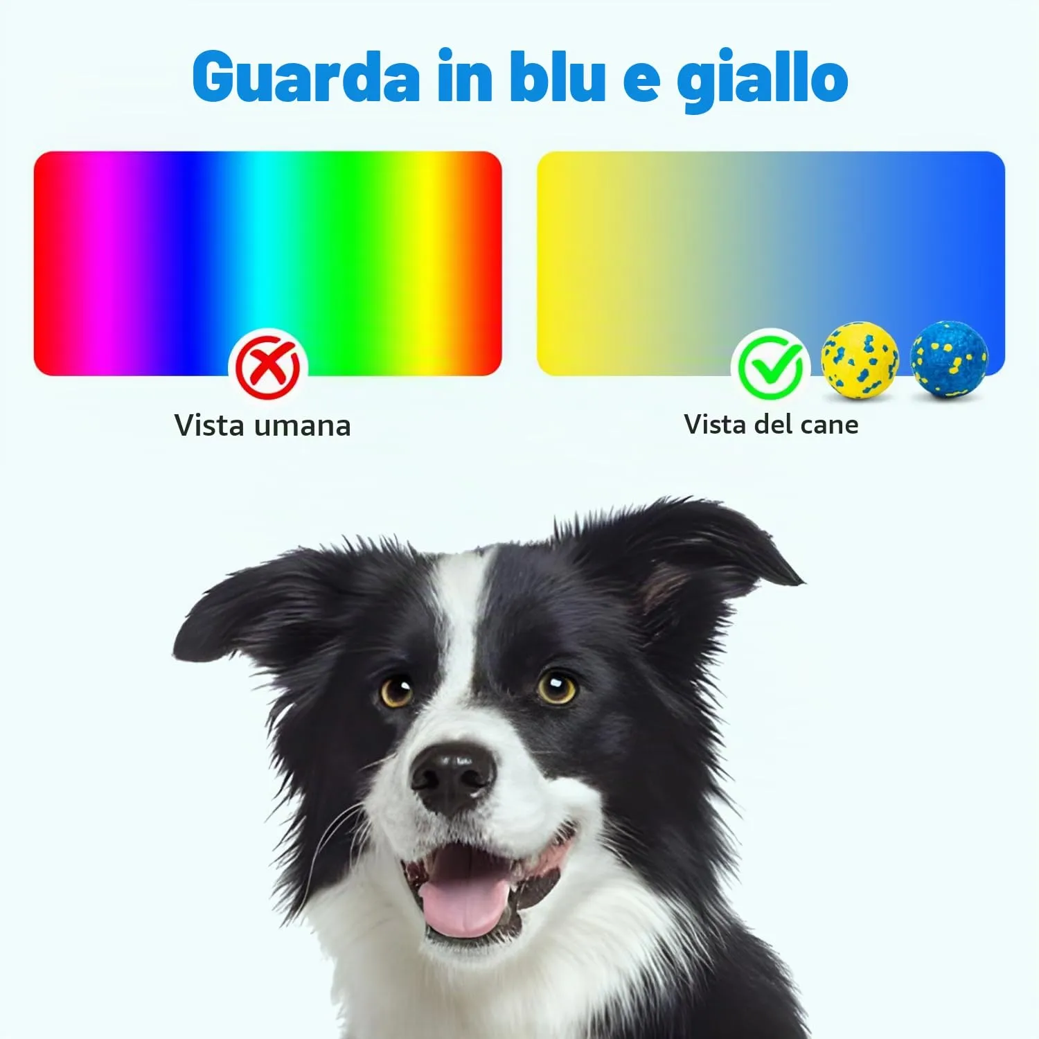 Nobleza Palline per Cani Indistruttibili, 3 Pezzi, Ø 7cm - immagine 4