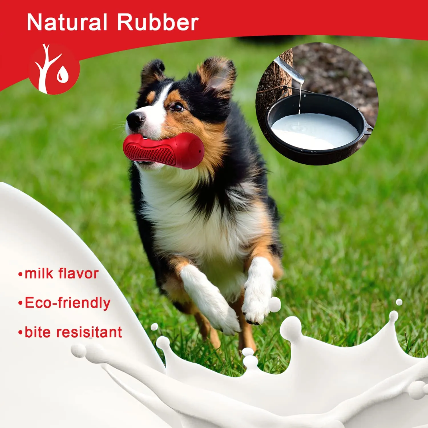 Autoau Gioco Interattivo per Cani in Gomma Naturale, Masticativo Resistente con Squeaker per Pulizia Denti, Taglia L - immagine 2