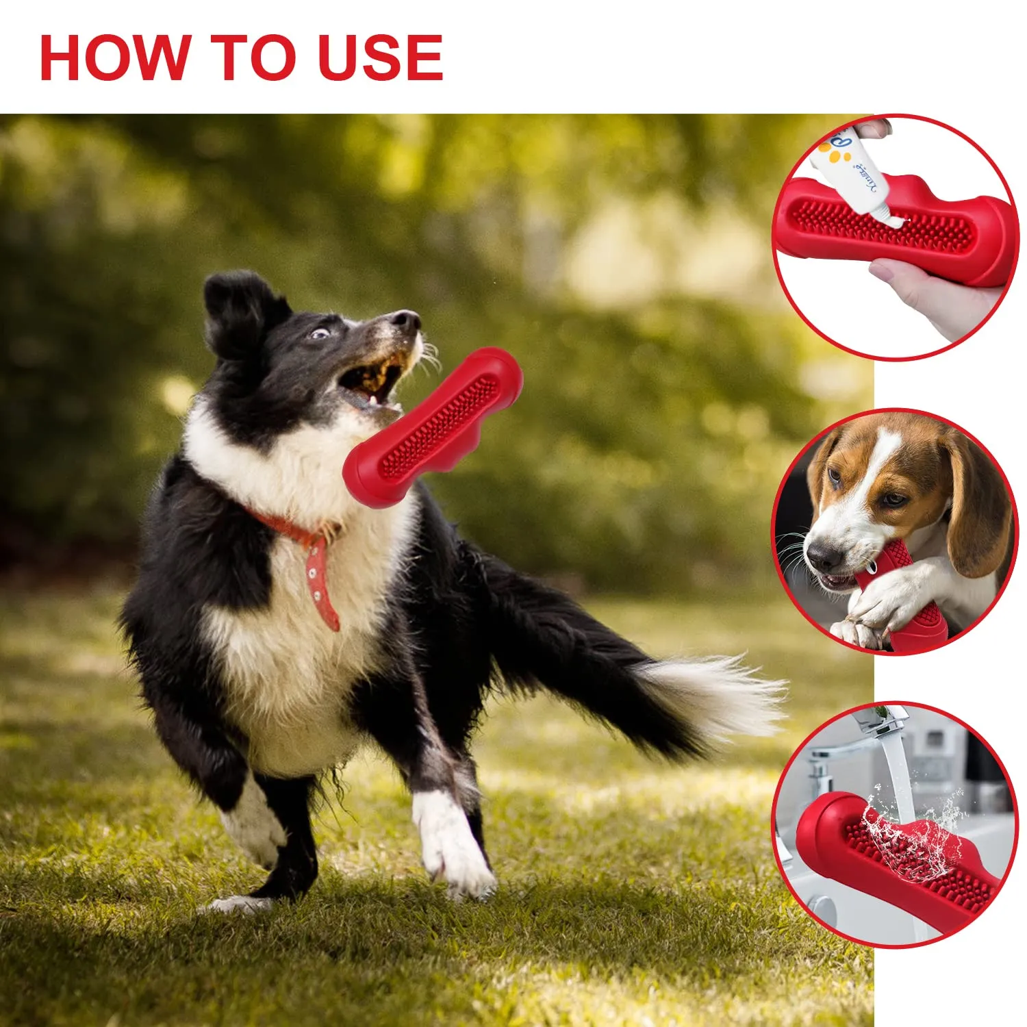 Autoau Gioco Interattivo per Cani in Gomma Naturale, Masticativo Resistente con Squeaker per Pulizia Denti, Taglia L - immagine 4