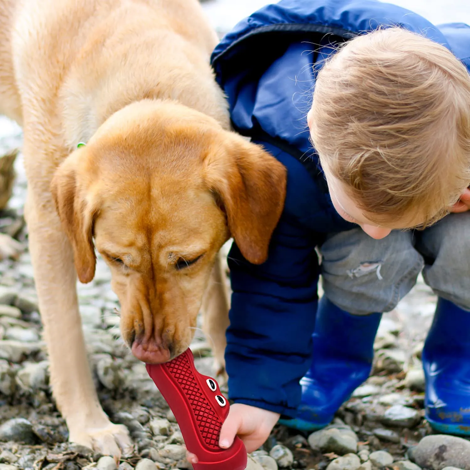 Autoau Gioco Interattivo per Cani in Gomma Naturale, Masticativo Resistente con Squeaker per Pulizia Denti, Taglia L - immagine 7