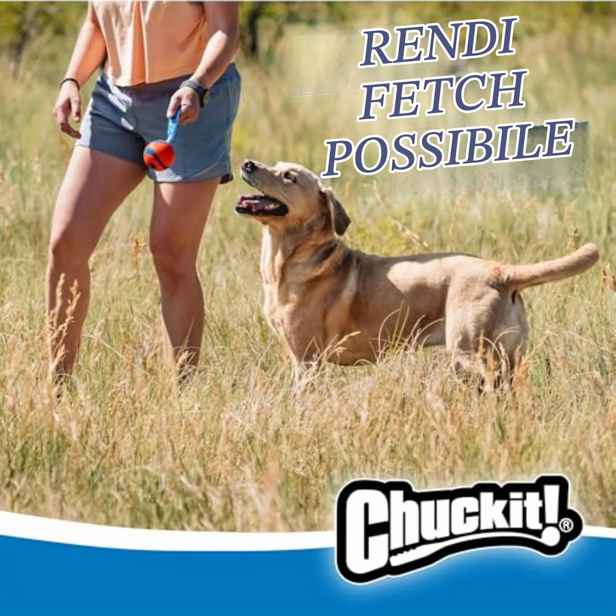 Chuckit! Ultra Tug, L - immagine 3