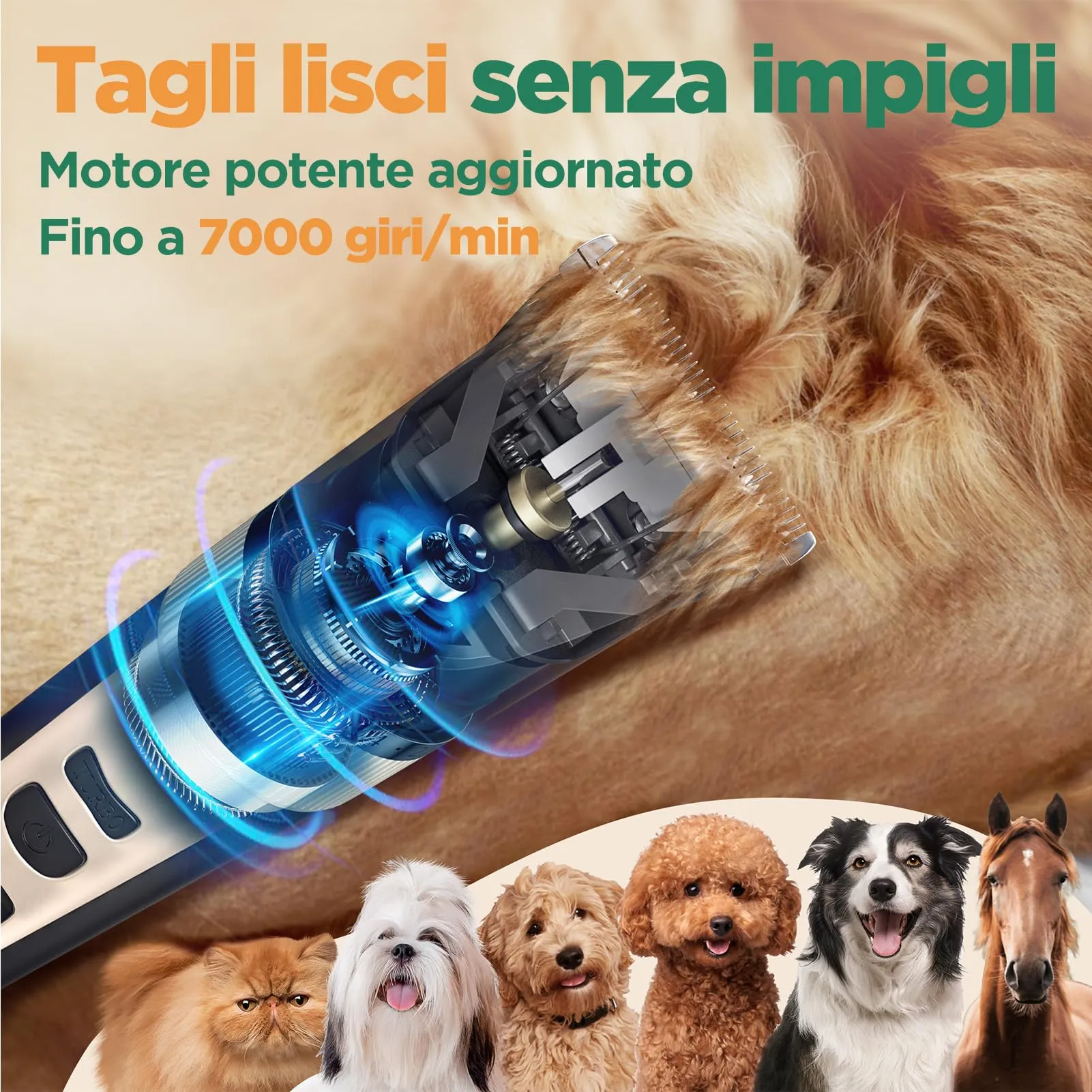 Gimars Tosatrice Professionale per Cani e Gatti, Impermeabile IPX7, Dorata - immagine 4