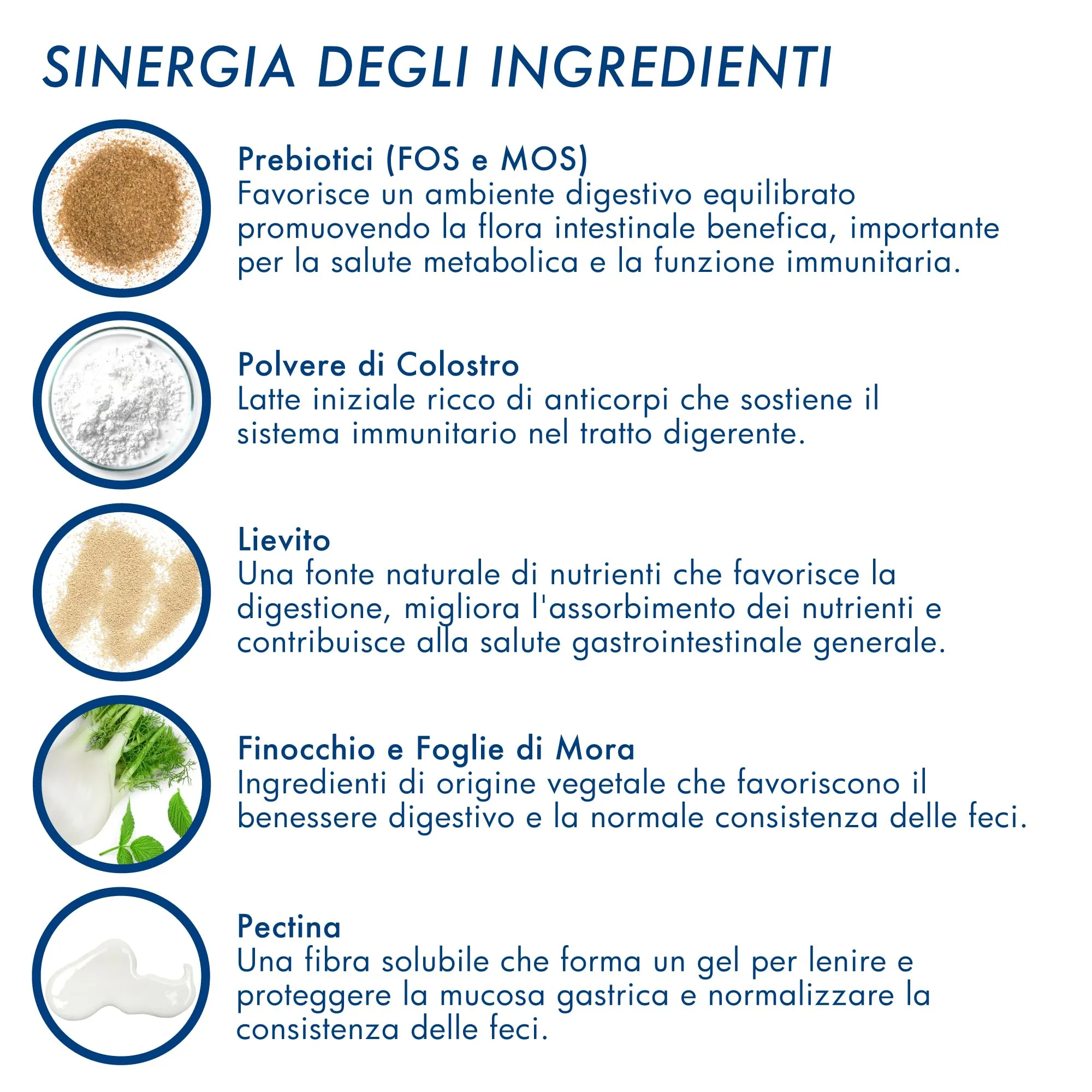 DRN Enteromicro Complex Fermenti Lattici Probiotici per Cani e Gatti, 32 Compresse - immagine 4