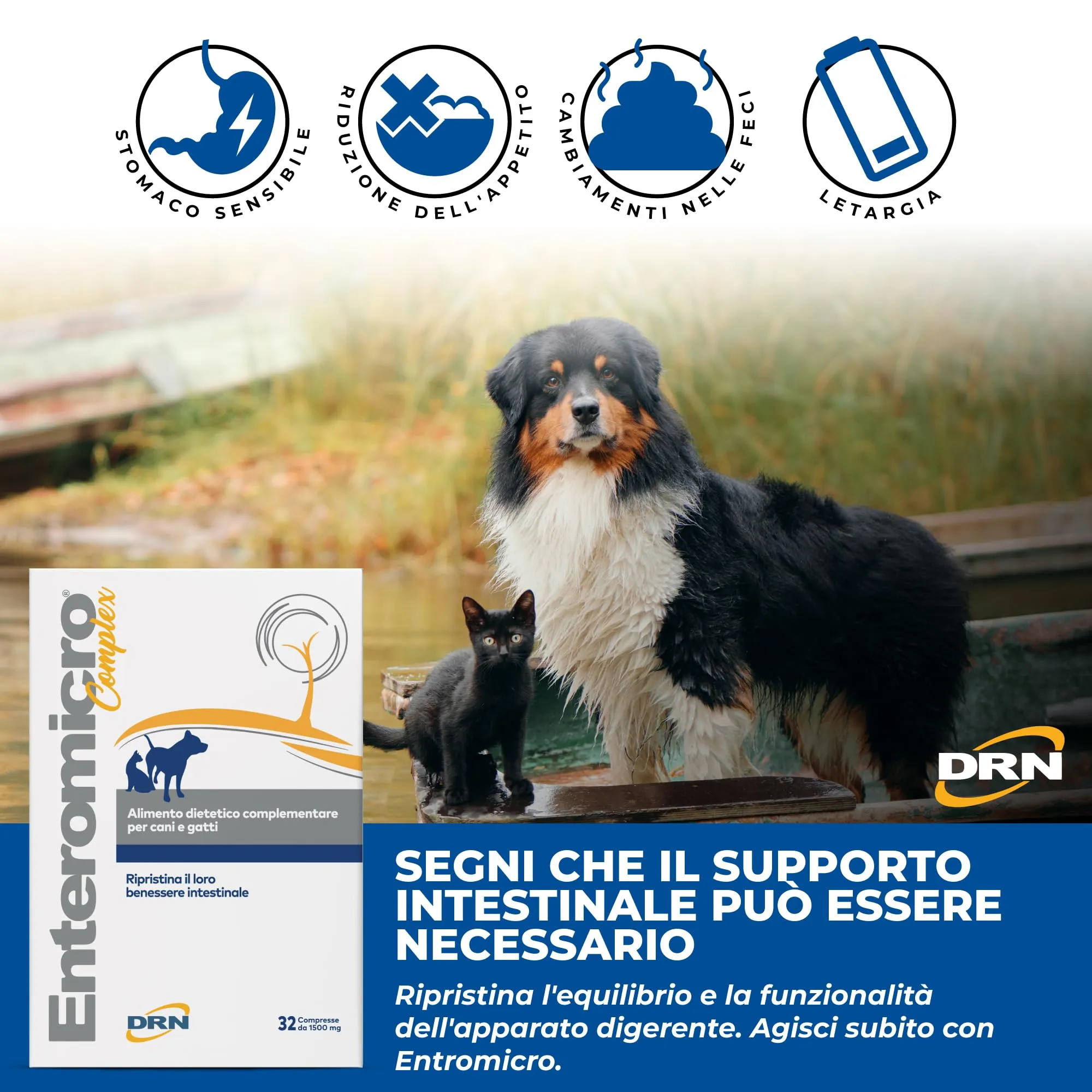DRN Enteromicro Complex Fermenti Lattici Probiotici per Cani e Gatti, 32 Compresse - immagine 5